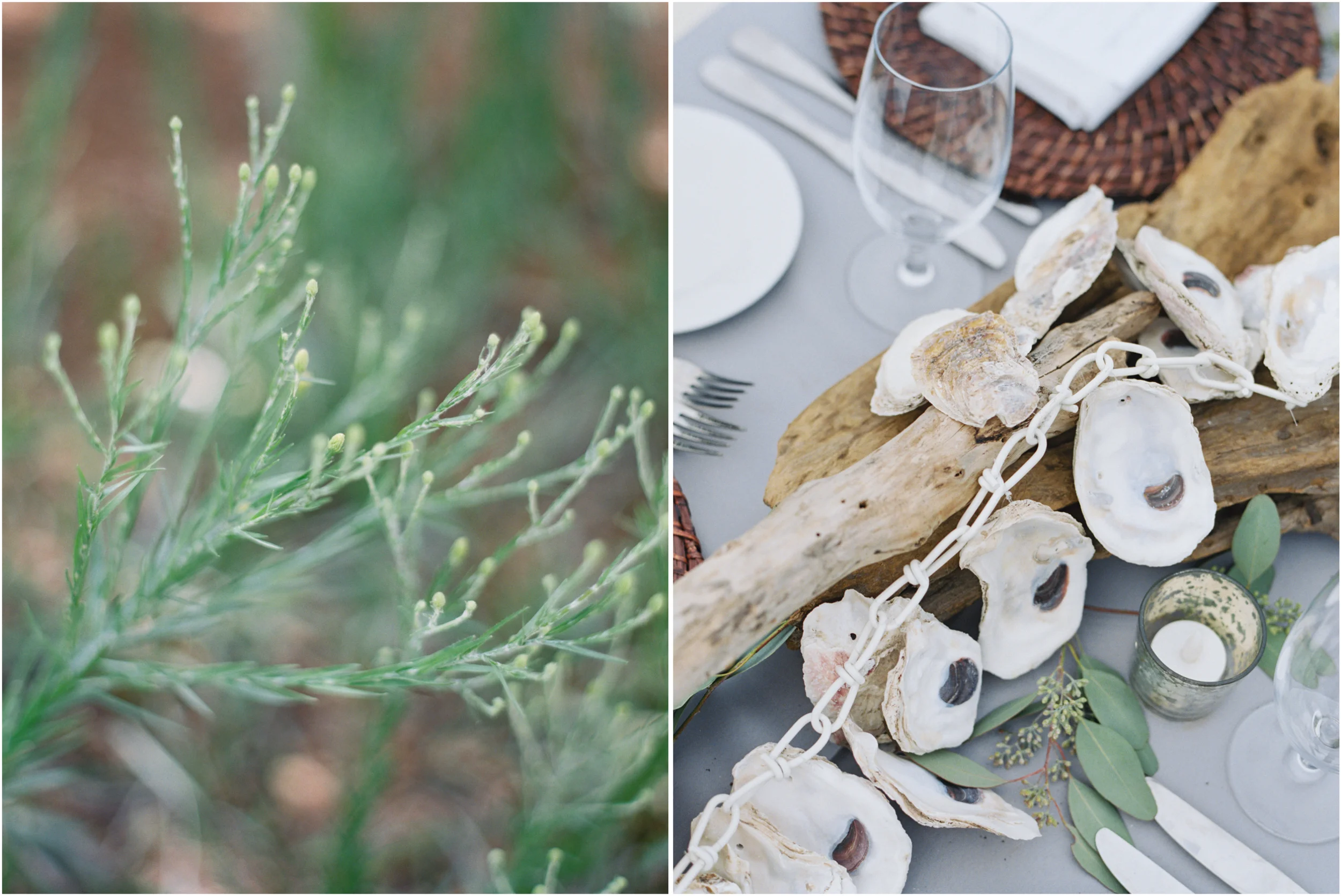 RosemaryWed_JenniferBlair8