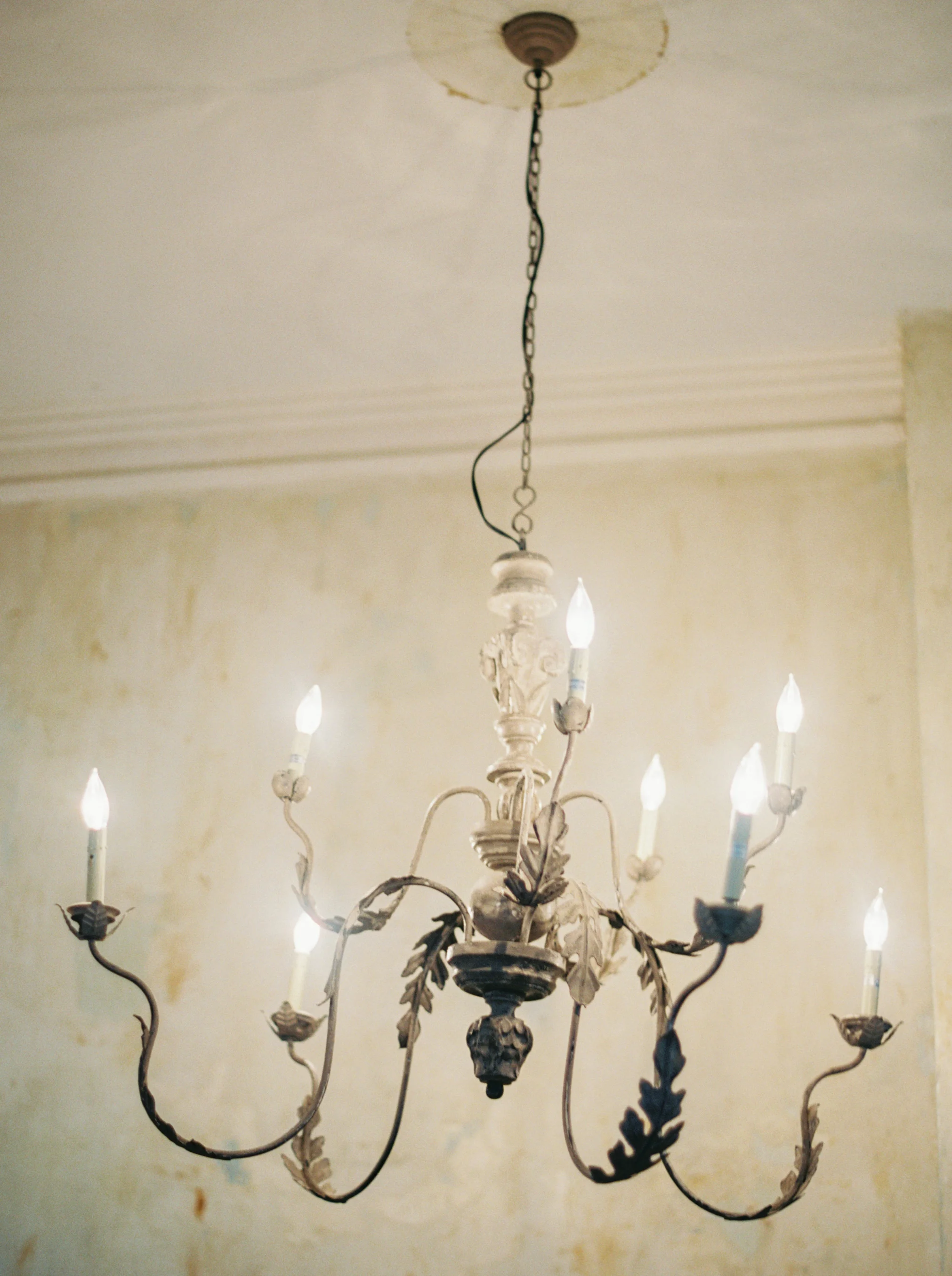 beauty from ashes-1074.jpg