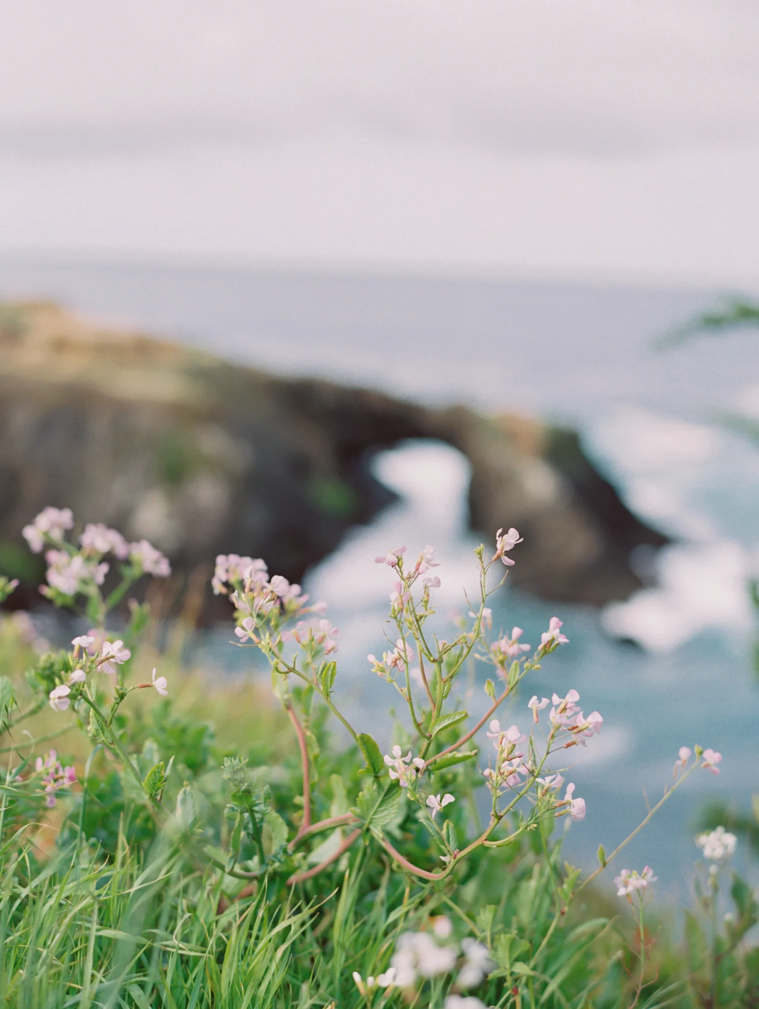 Upside-down: God cares more about the depth of your roots than the brightness of your blooms