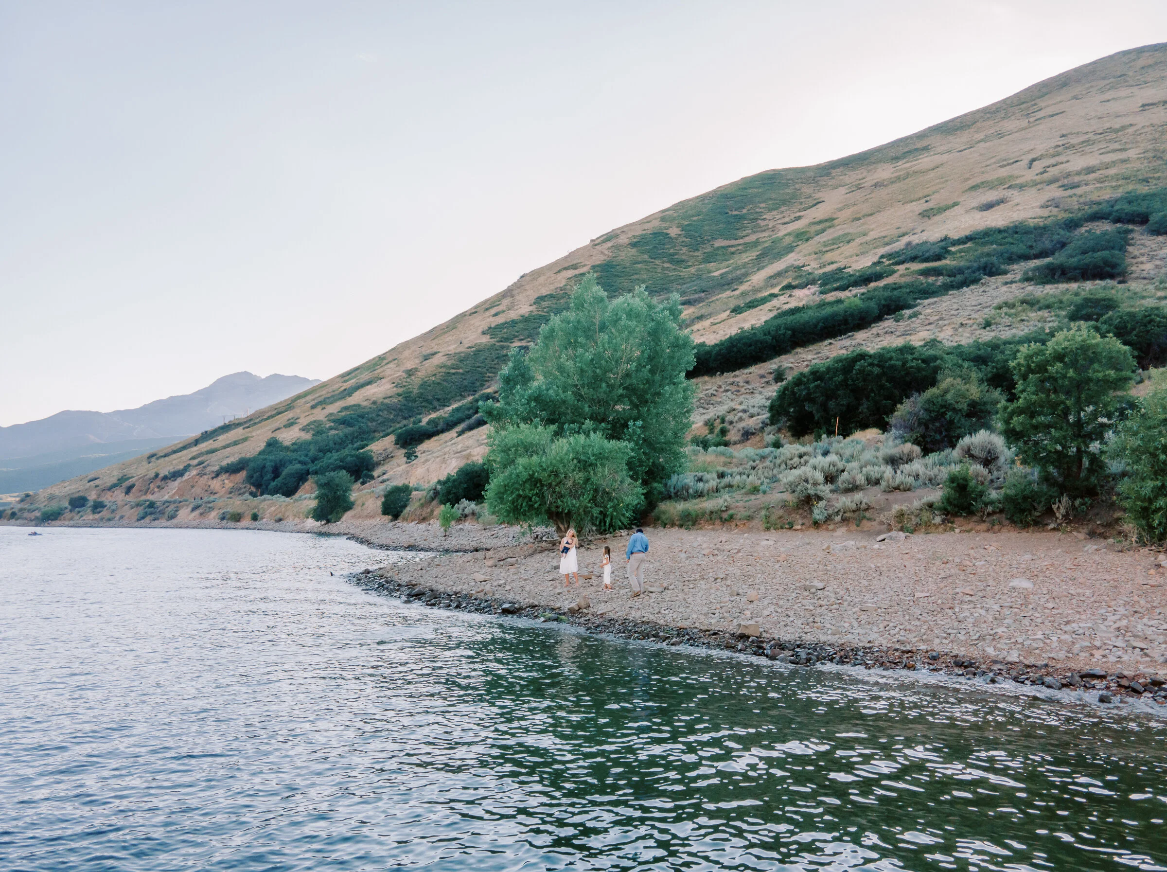 Lee Family 2020-83.jpg