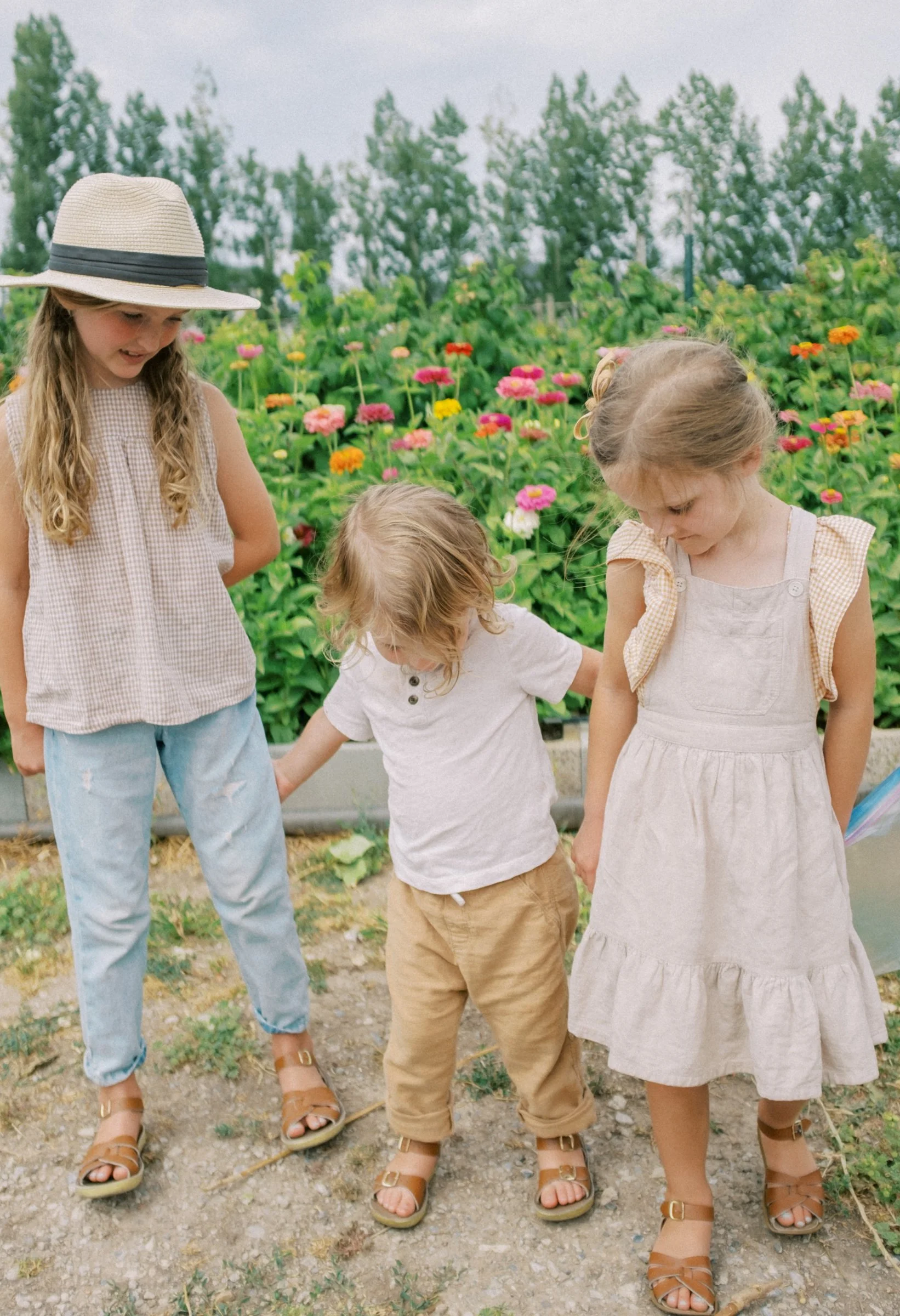 Raspberries 2022-2.jpg