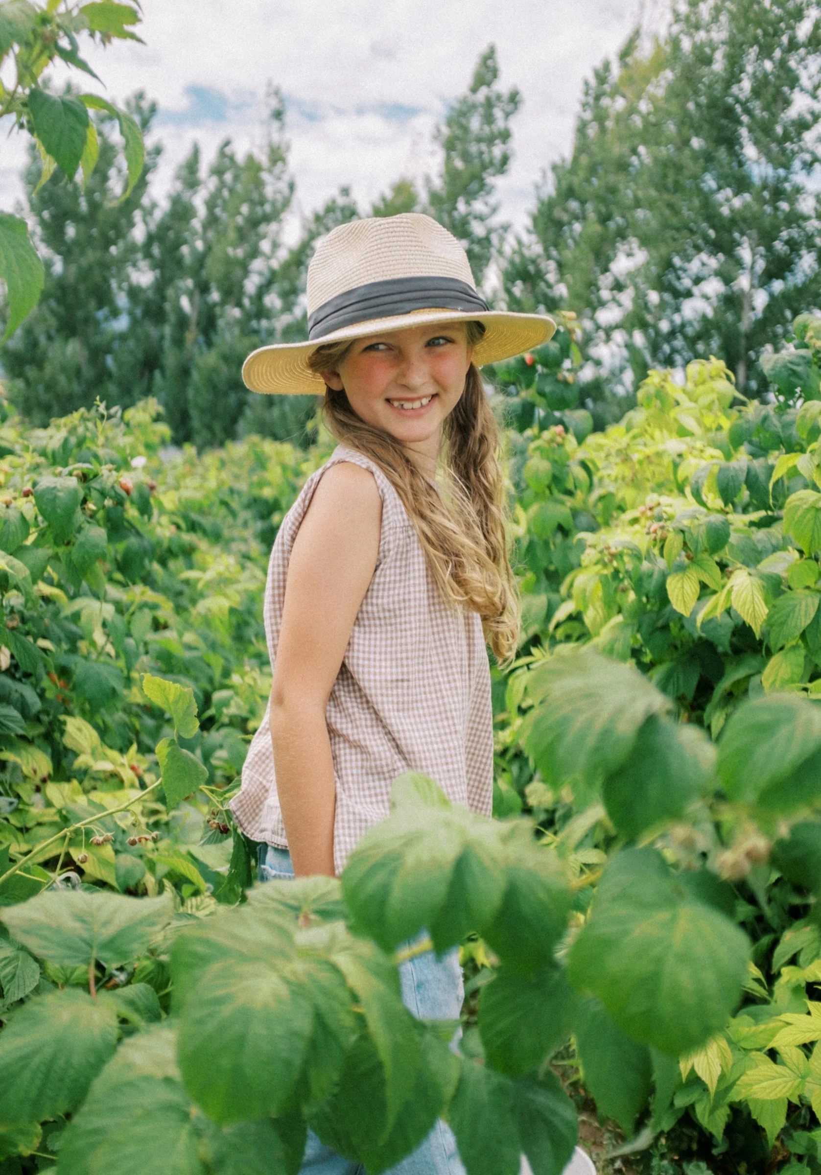 Raspberries 2022-9.jpg