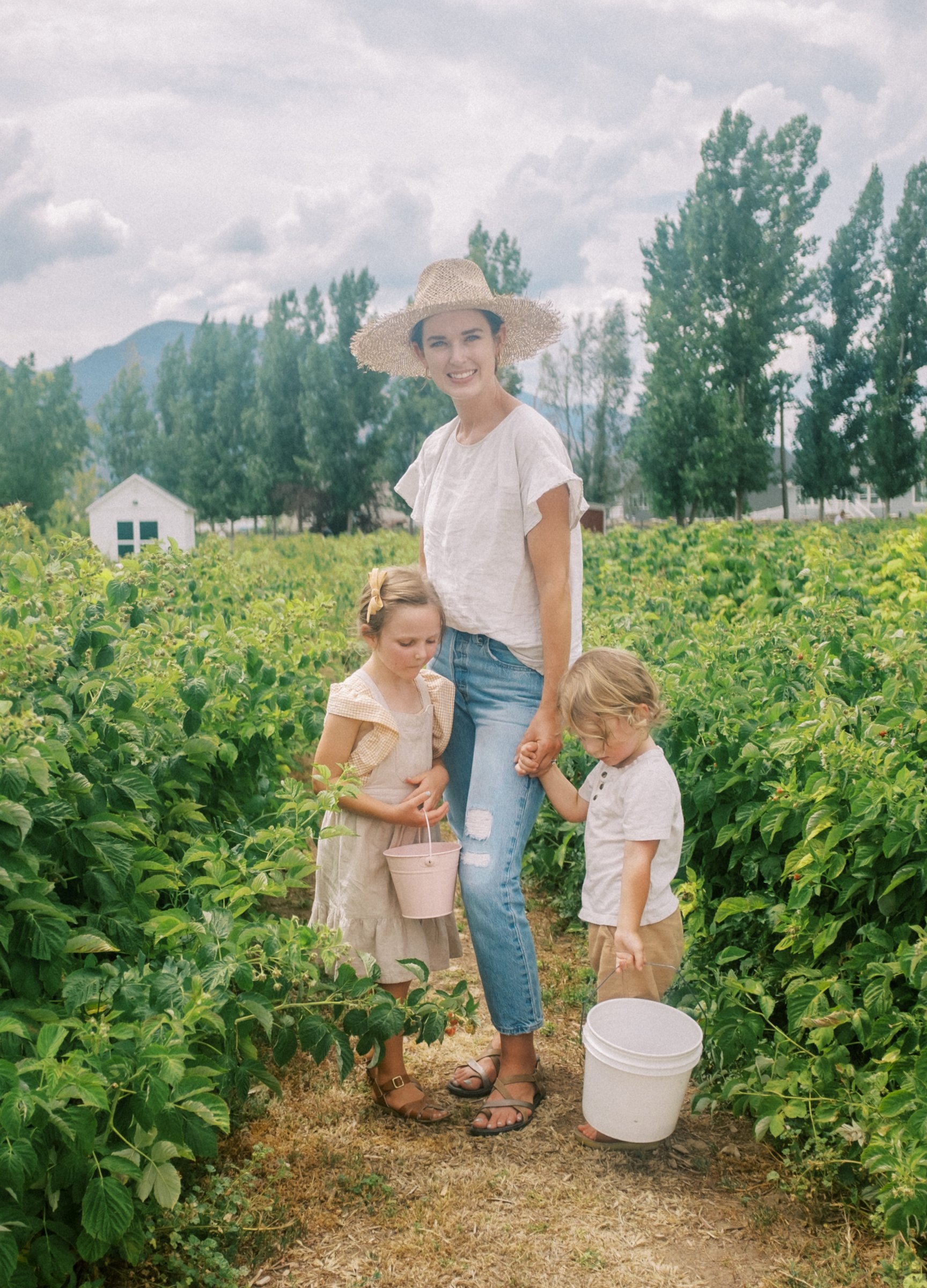 Raspberries 2022-23.jpg