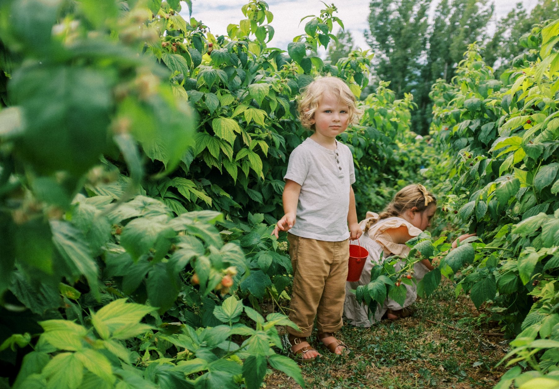 The Peace of Right Priorities | Raspberry Patch Utah