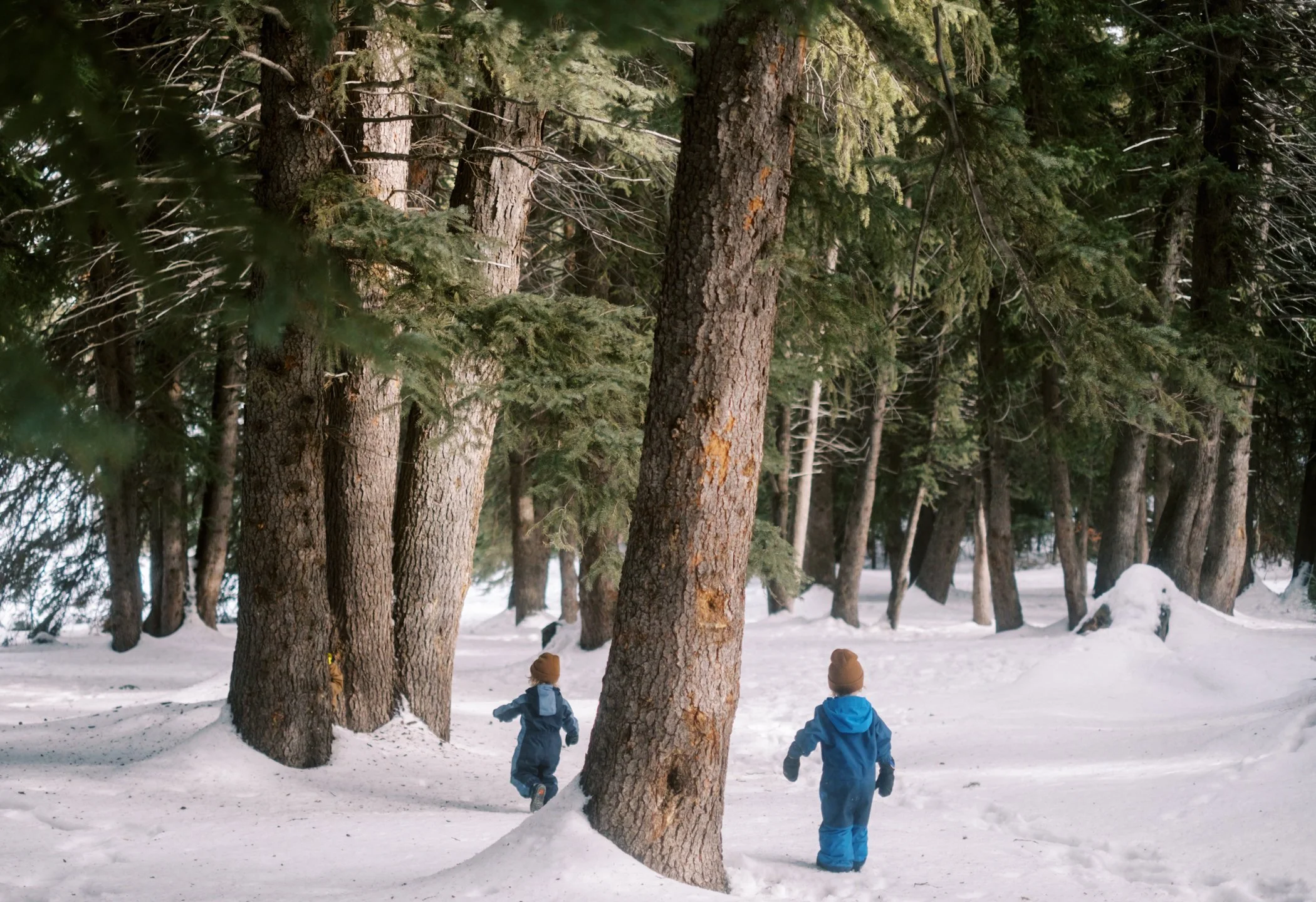 When You Can't Tie Up the Year with a Bow