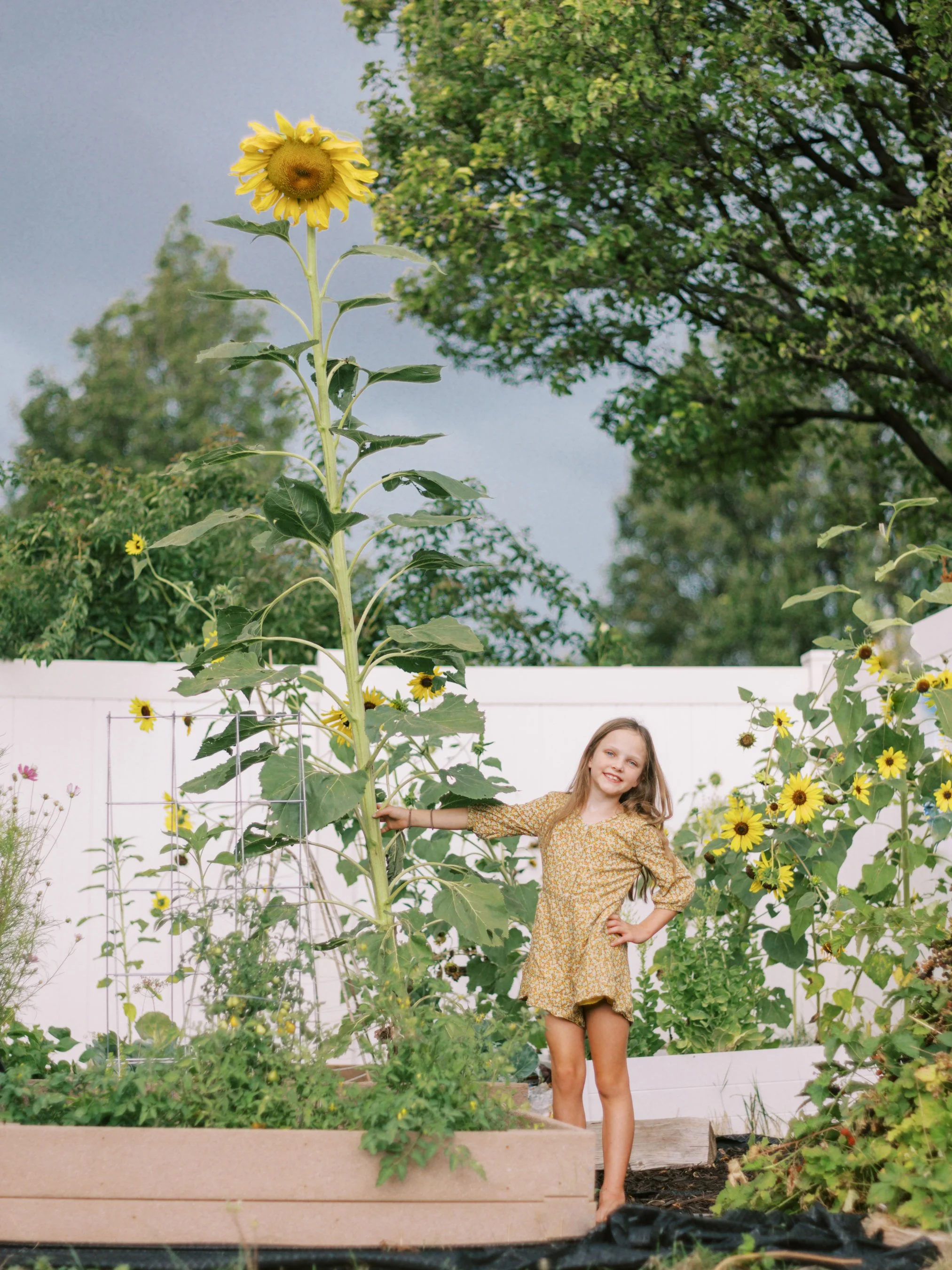G and sunflower-3.jpg