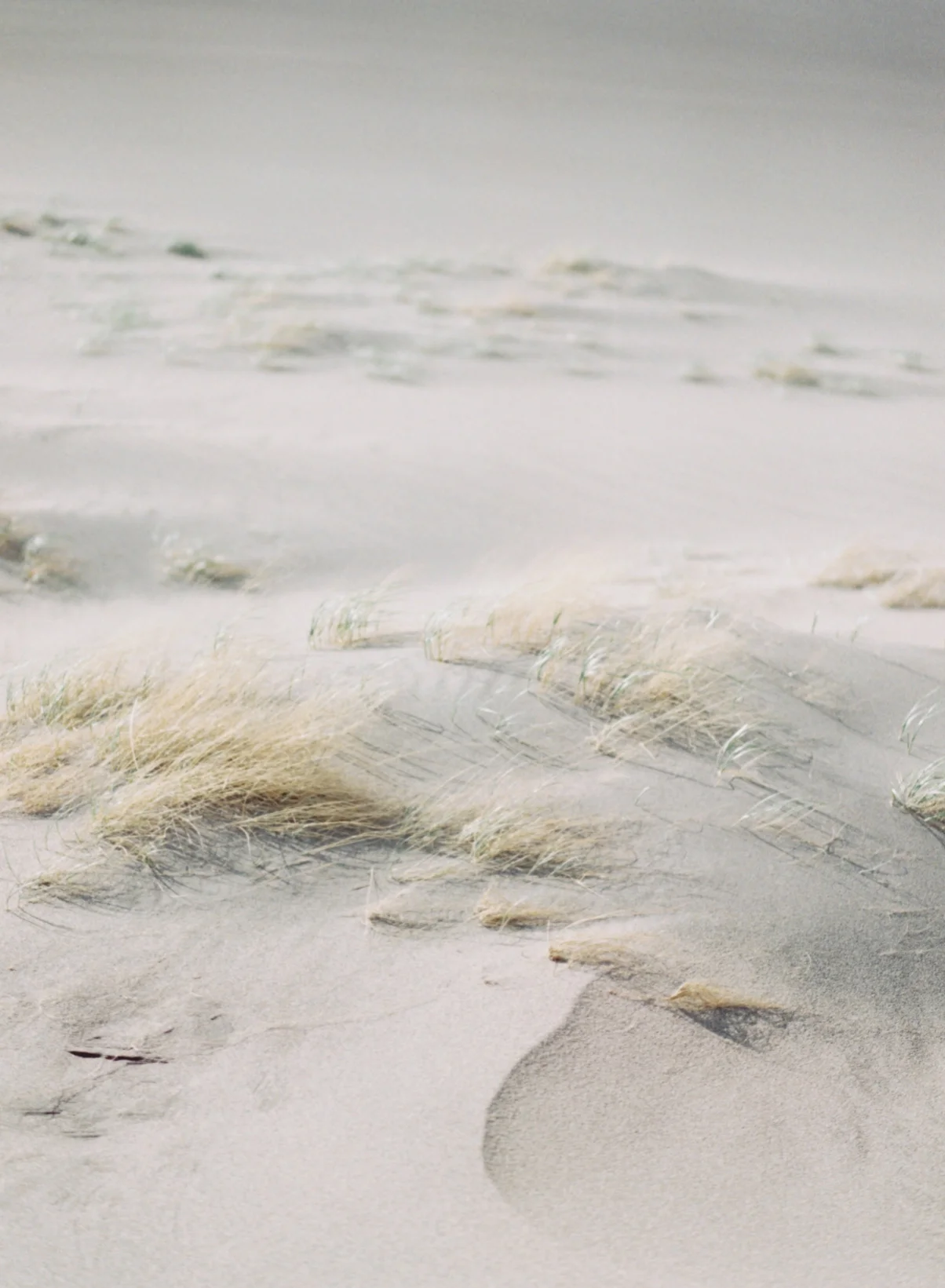 Colorado Adventures-1003.jpg