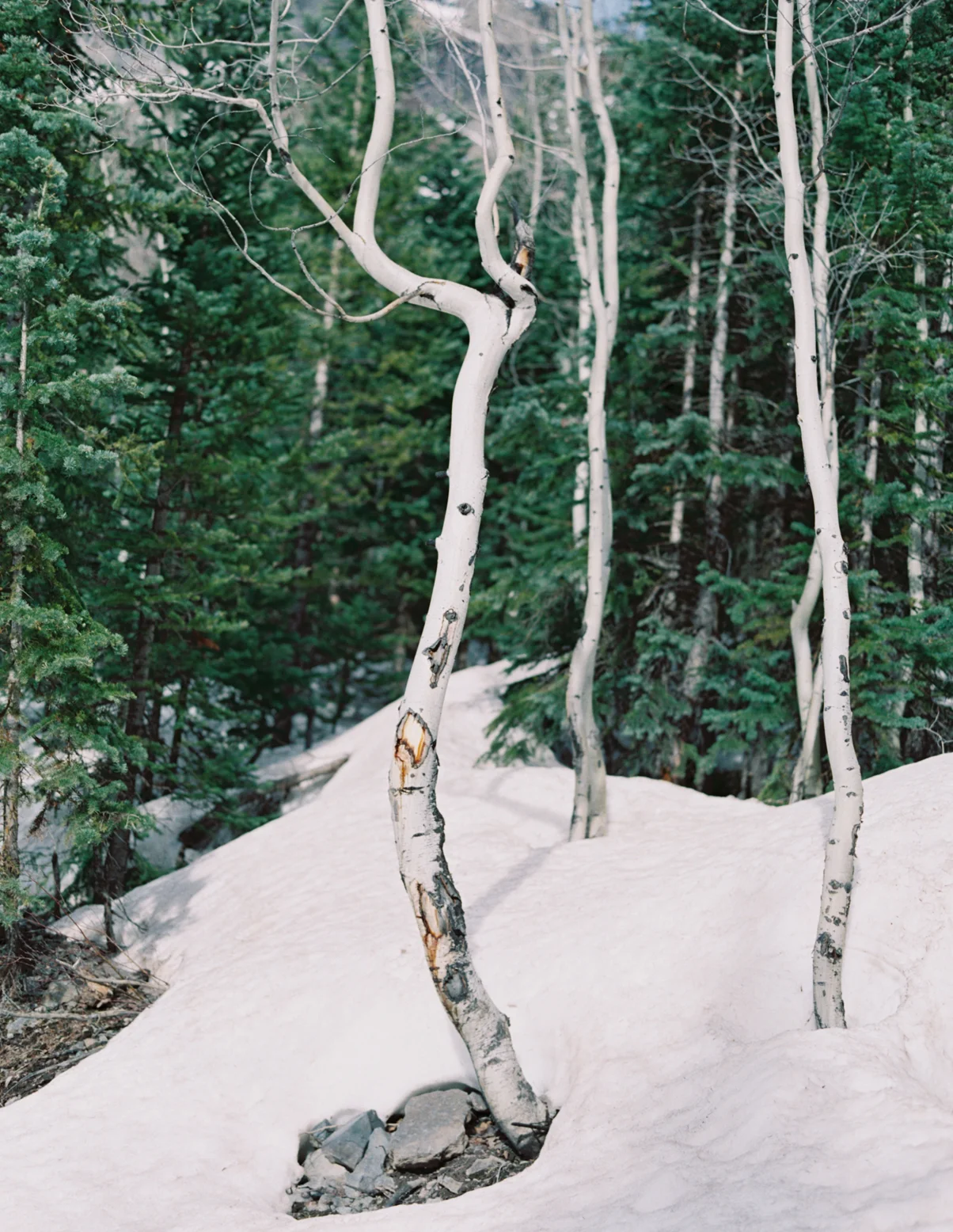 Colorado Adventures-1025.jpg