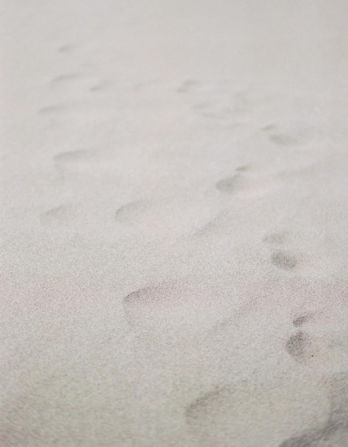 Colorado Adventures-1009.jpg