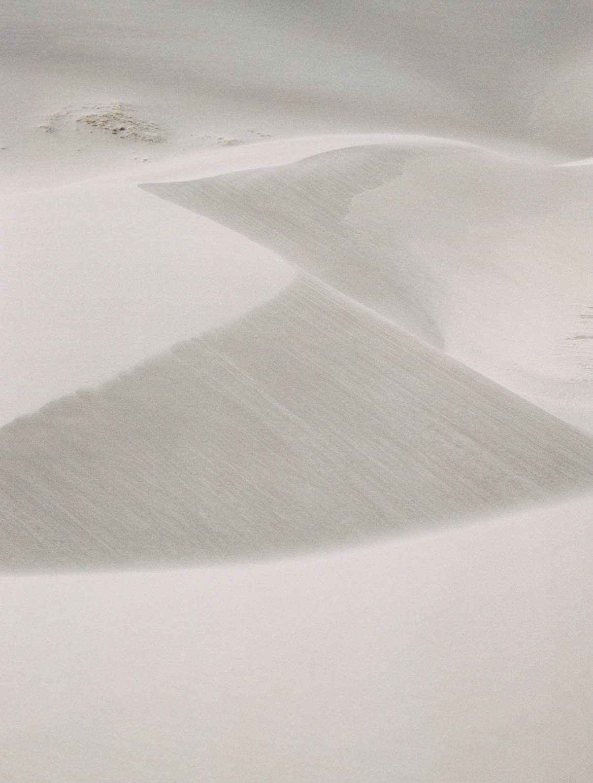 Colorado Adventures-1002.jpg