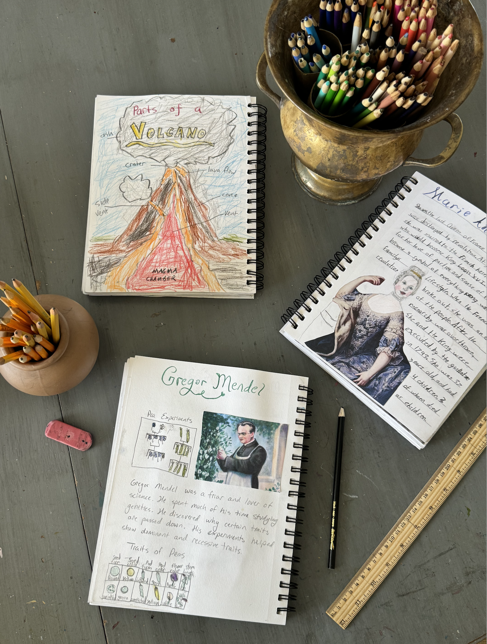 Screenshot 2026-03-07 at 11.55.32 AM.png