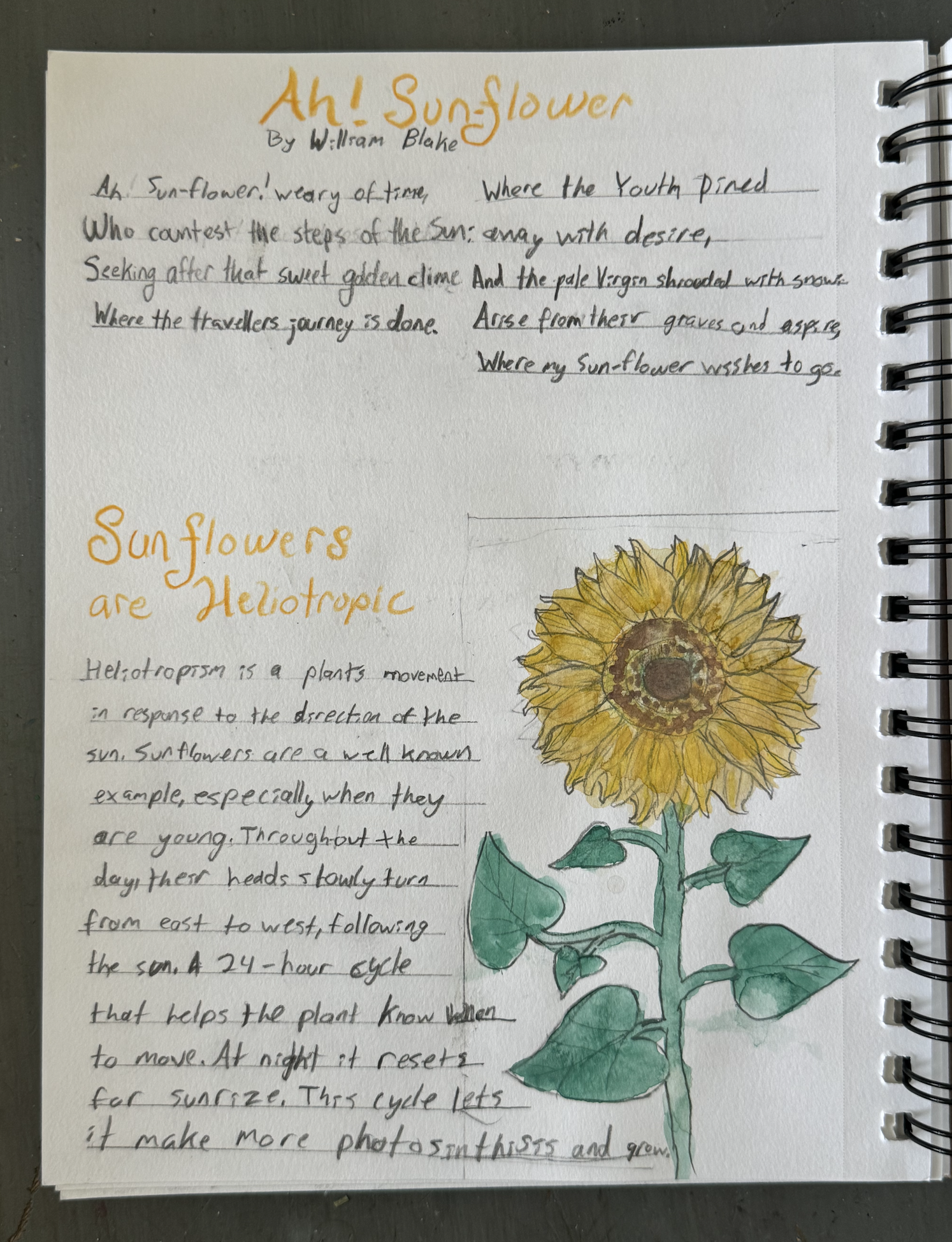 Screenshot 2026-03-07 at 11.56.00 AM.png