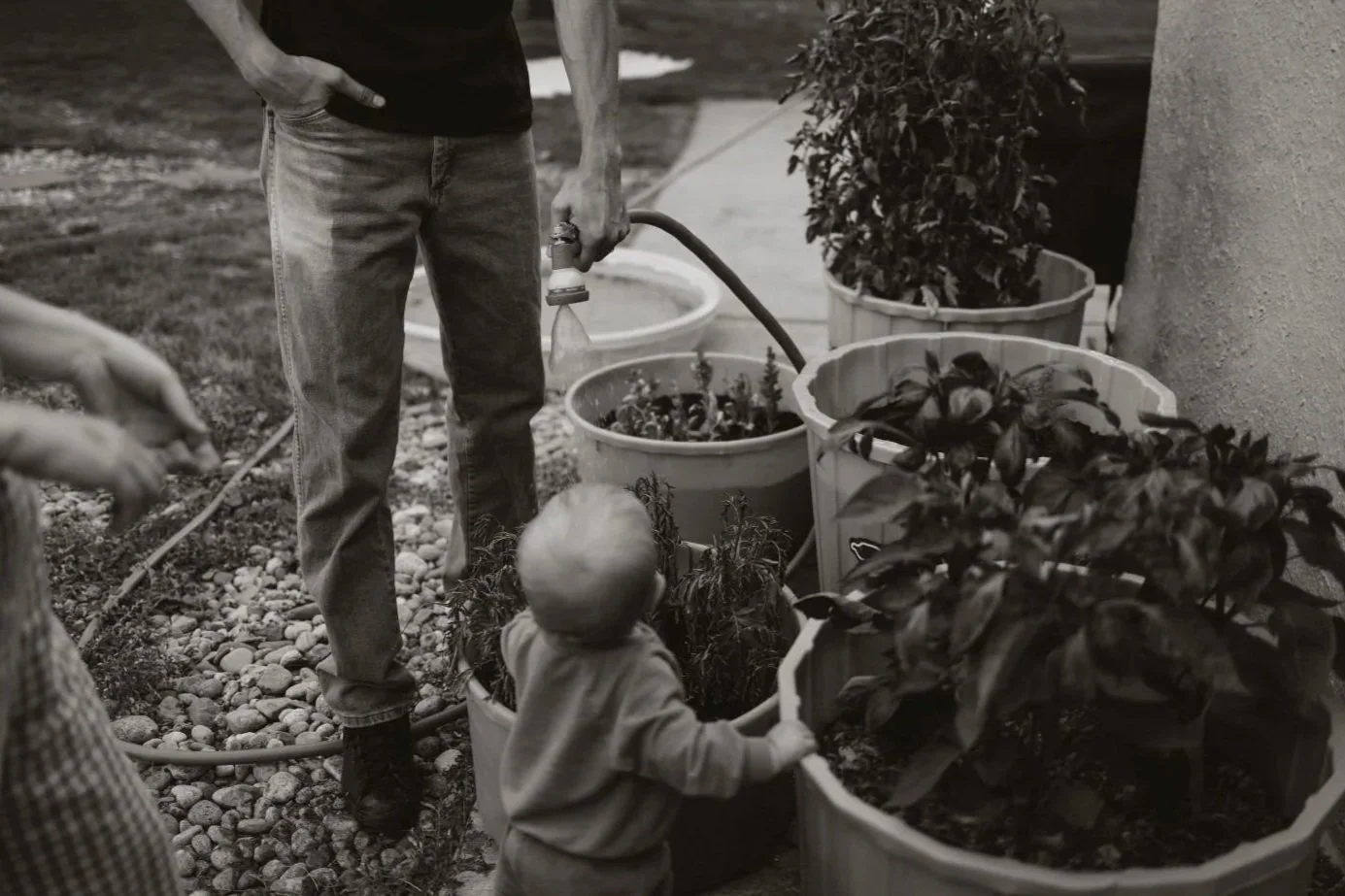 A young child with a bald head standing outdoors next to a man, holding onto a large planter with leafy plants. The man is watering the plants with a garden hose. There are multiple large planters with plants, and a bush in the background.