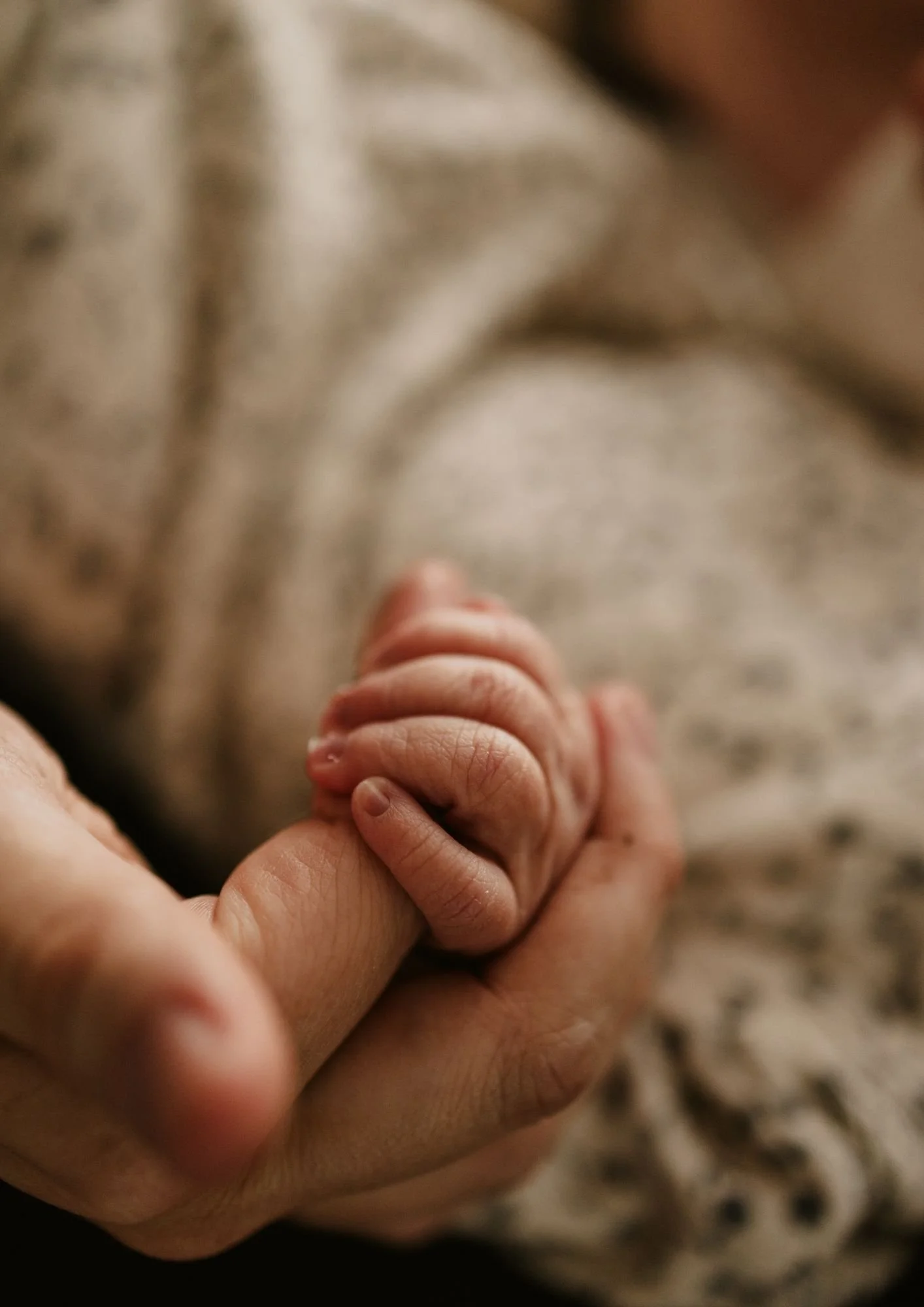Close-up of an adult holding a tiny newborn baby's hand.
