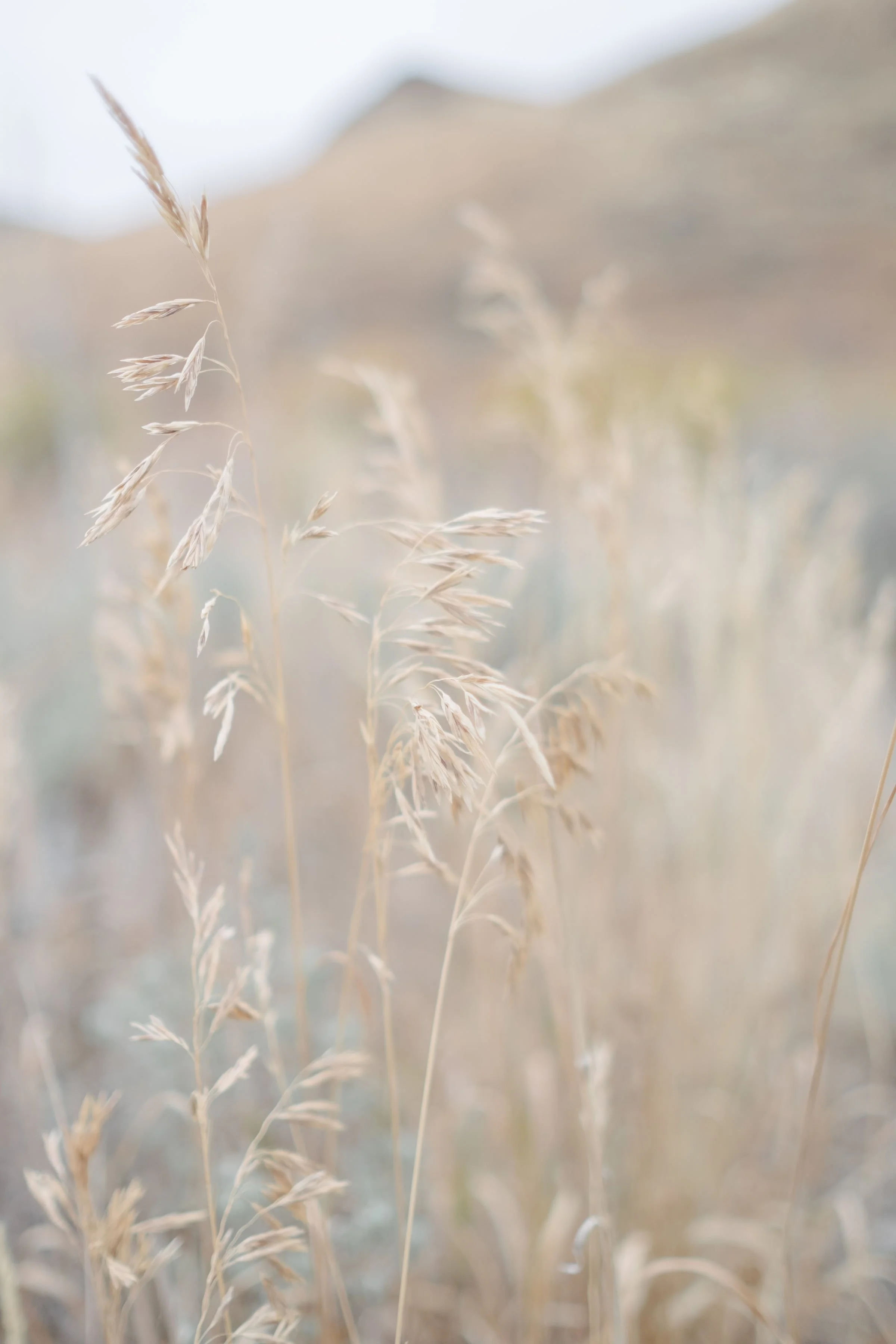 Elevae_1224_10374.jpg