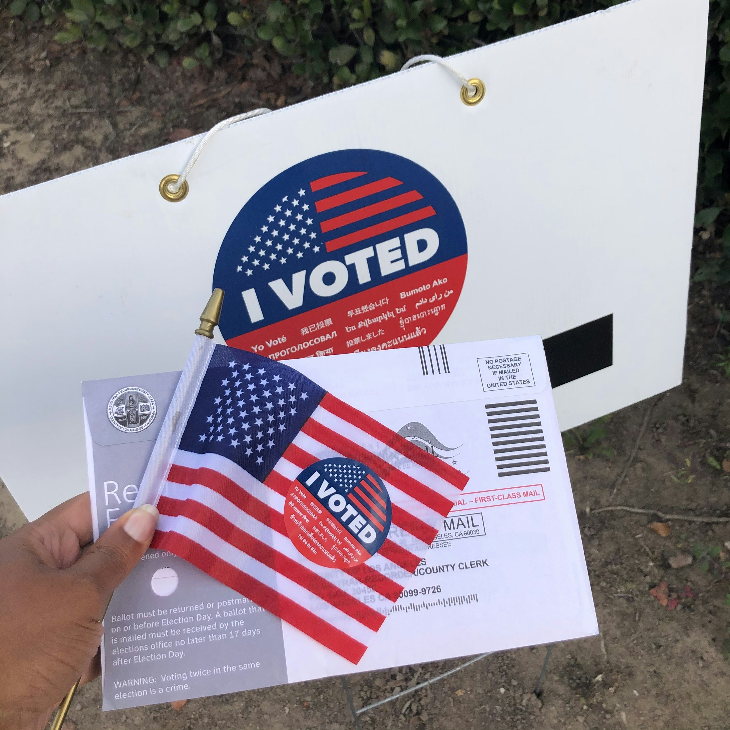 Voting Rights and Privacy