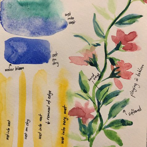 Water Colour Technique 2.jpg