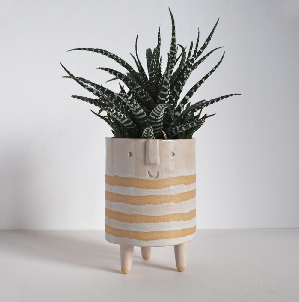 29 SEP TUE Pottery Planters