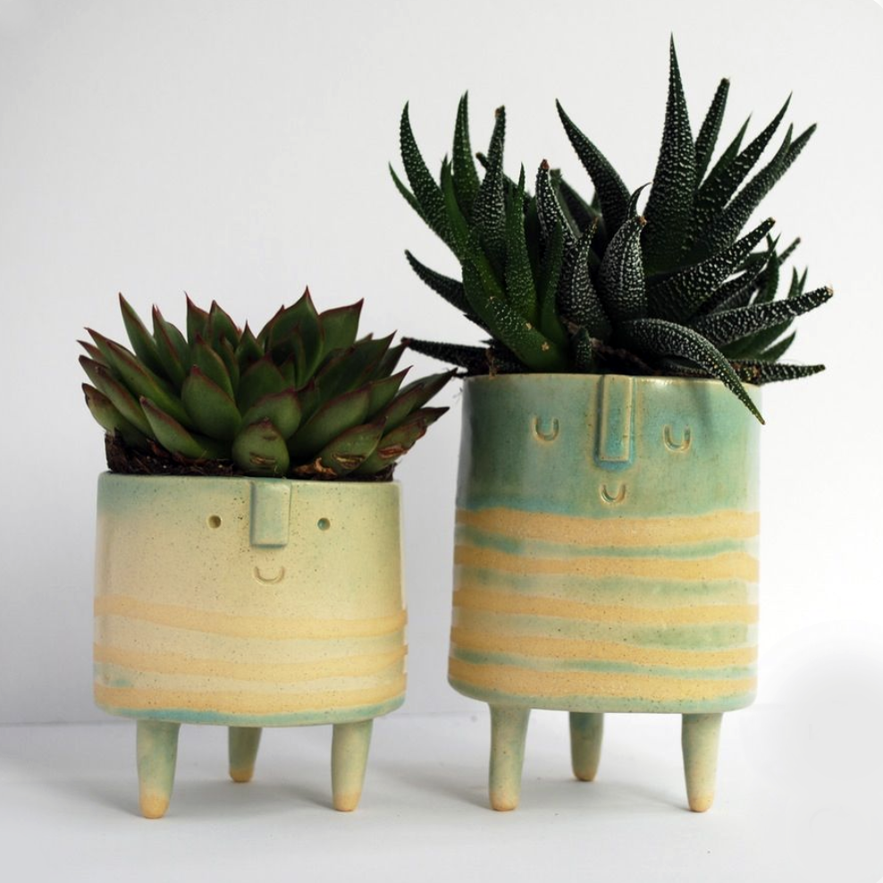POT2.png