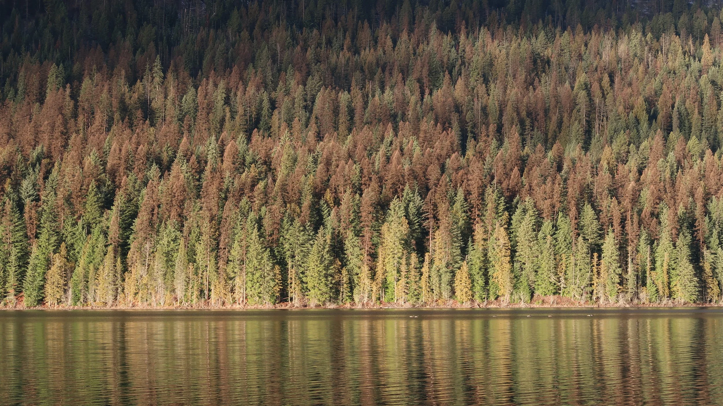 An Artist’s Personal Constitution: 10 Daily Reminders to Stay the Course of Authenticity