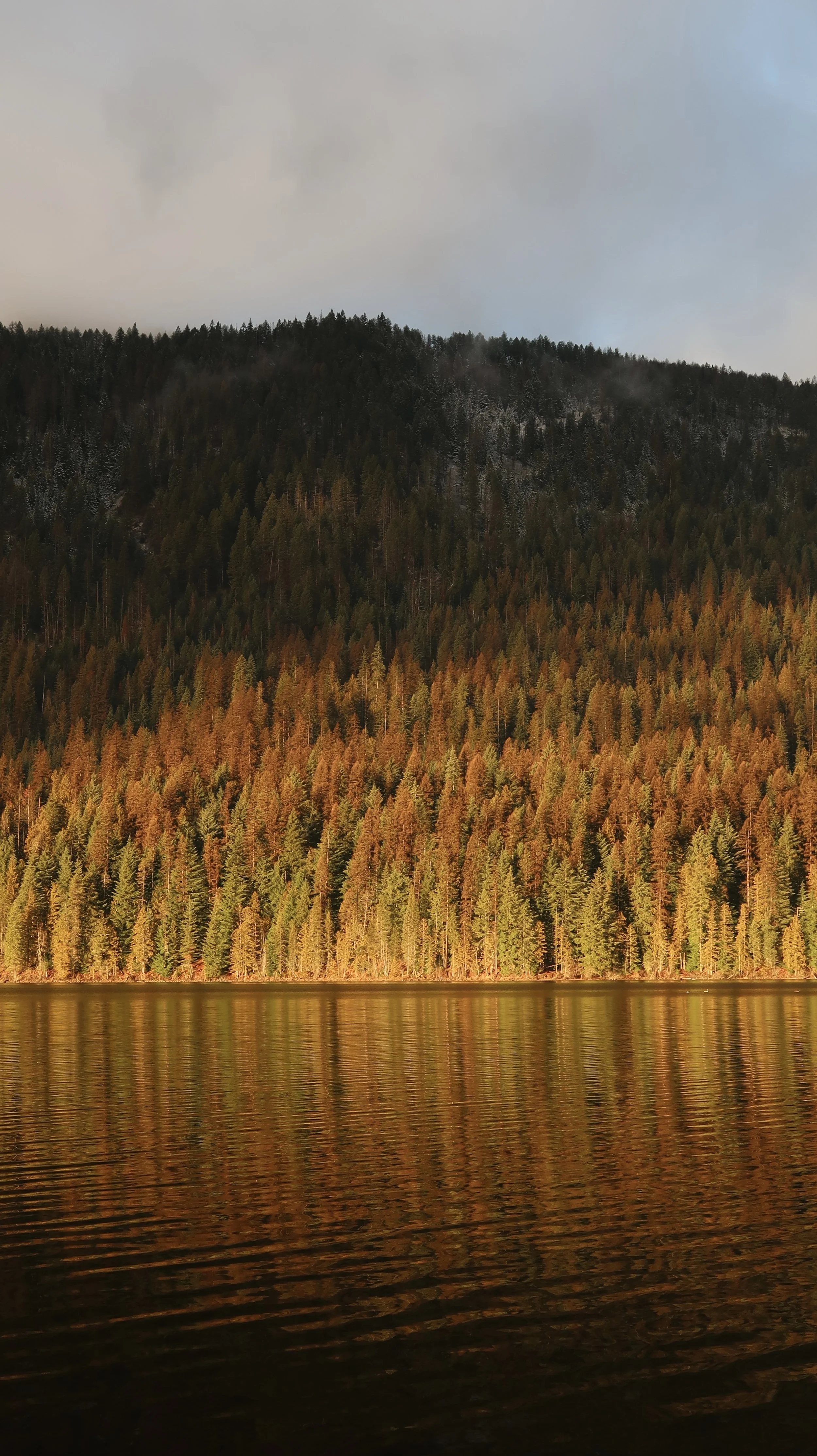 An Artist’s Personal Constitution, Pt. II: 7 Principles for Cultivating Creativity, Simplicity, and Inner Calm