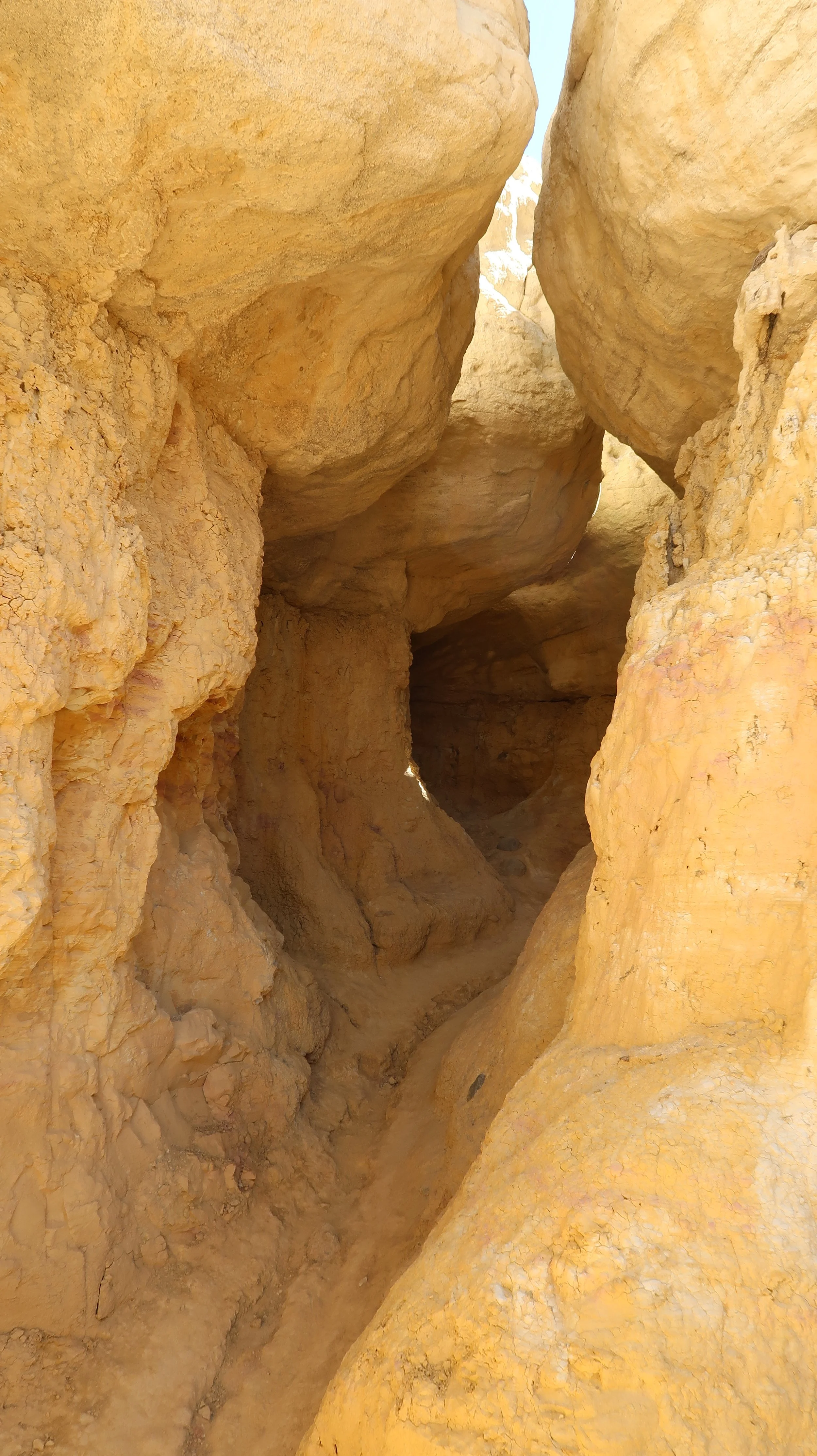 How to Channel Emotion for True Creative Expression: A Self-Led Workshop