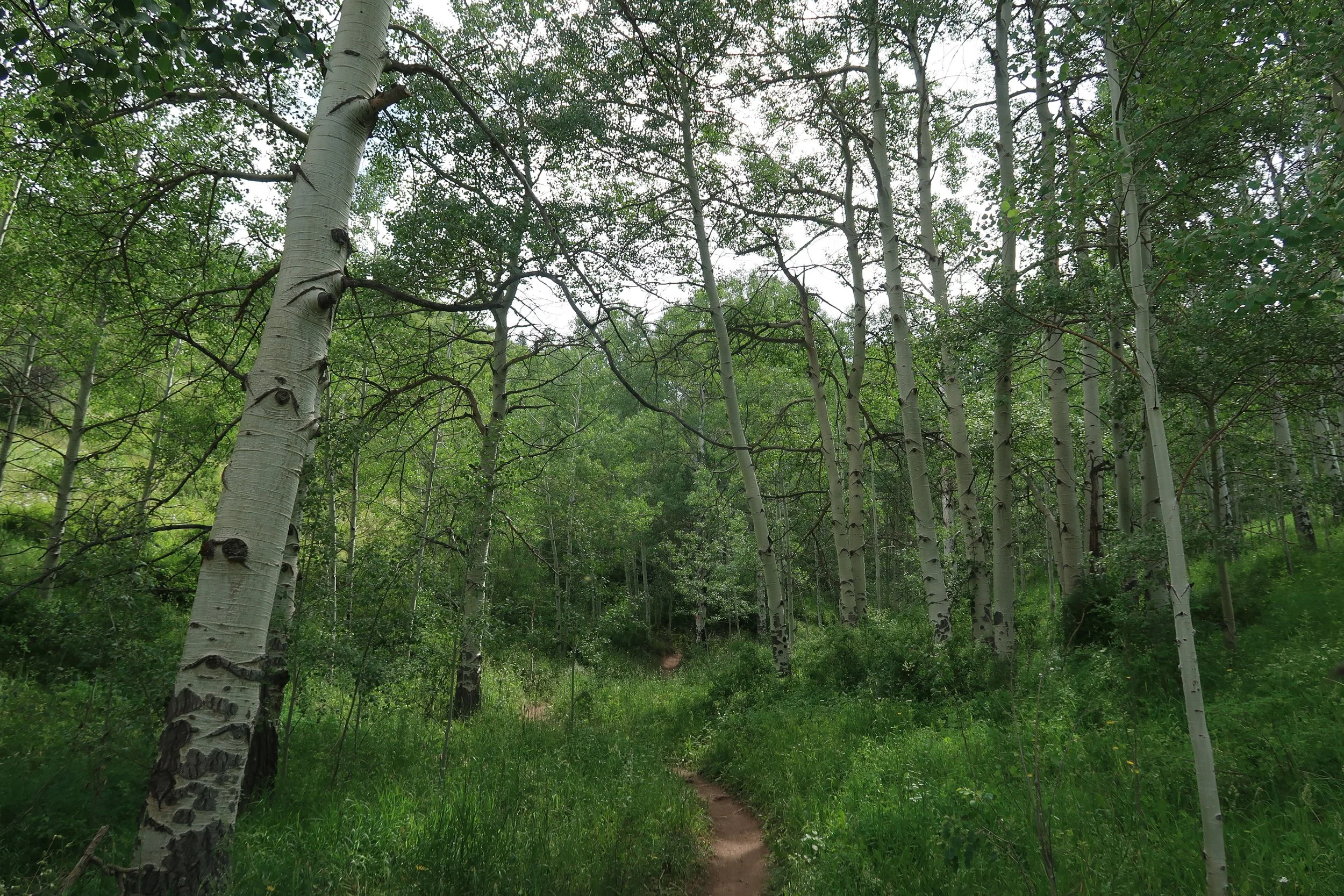 7 Mistakes Emerging Artists Make — and How to Avoid Those Pitfalls for Sustainable Success