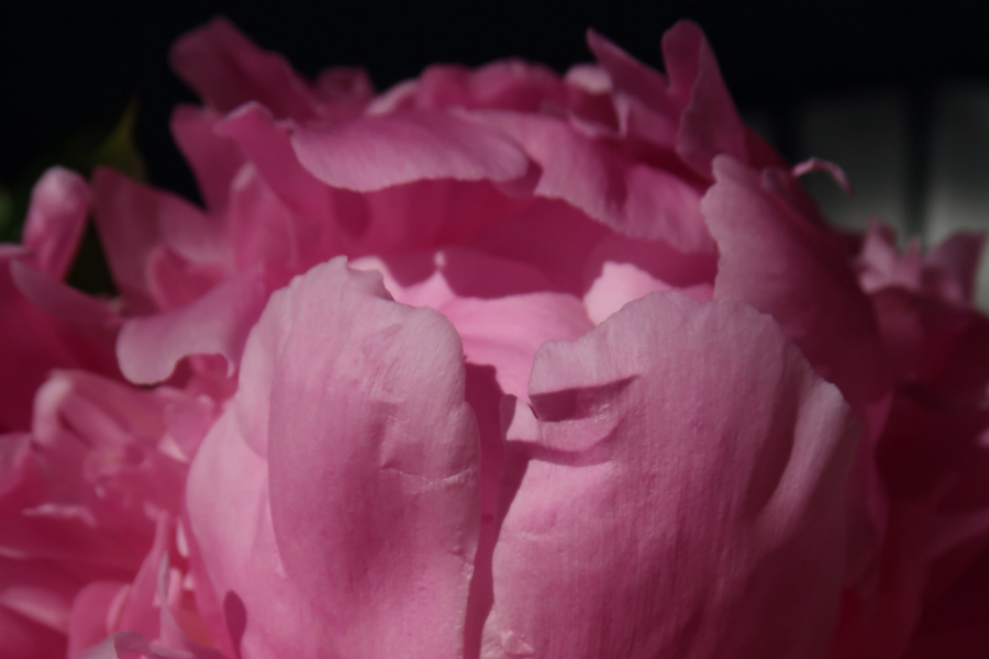 All Is Fair in Love and Work: On Making Art Through Heartbreak and Career Change