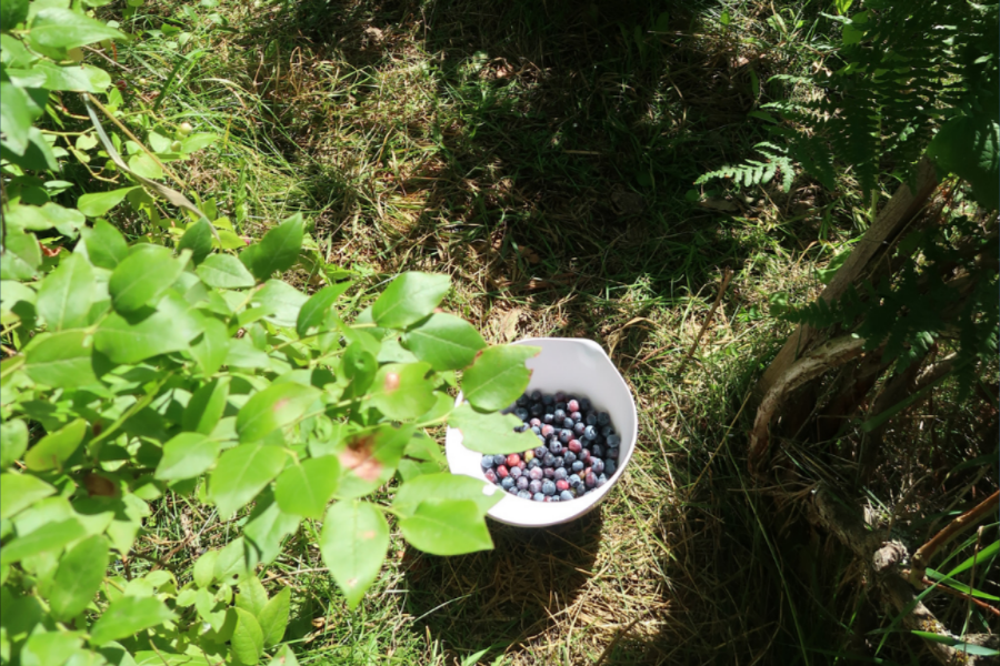 How to Channel Emotion for True Creative Expression: A Self-Led Workshop