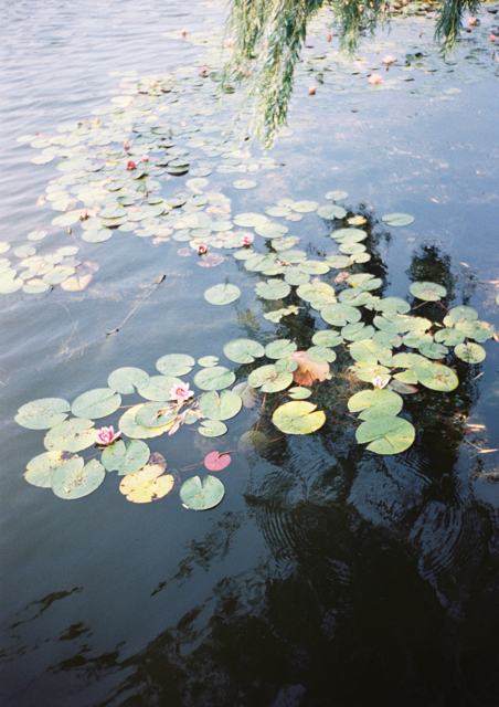 DeJoh18_DeJoh18-R1-025-11 2 2 Medium.png