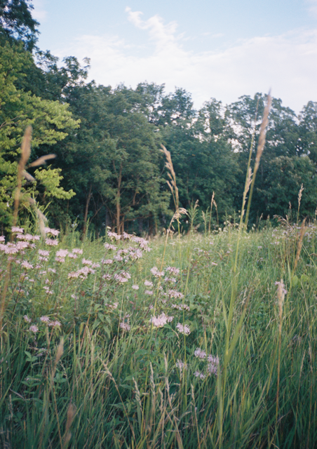 DeJoh18_DeJoh18-R1-045-21 Medium.png