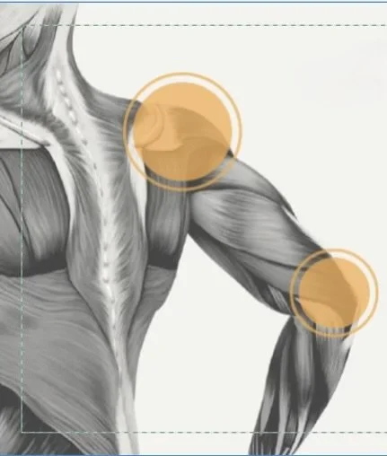 Wendy Dibble Physiotherapy