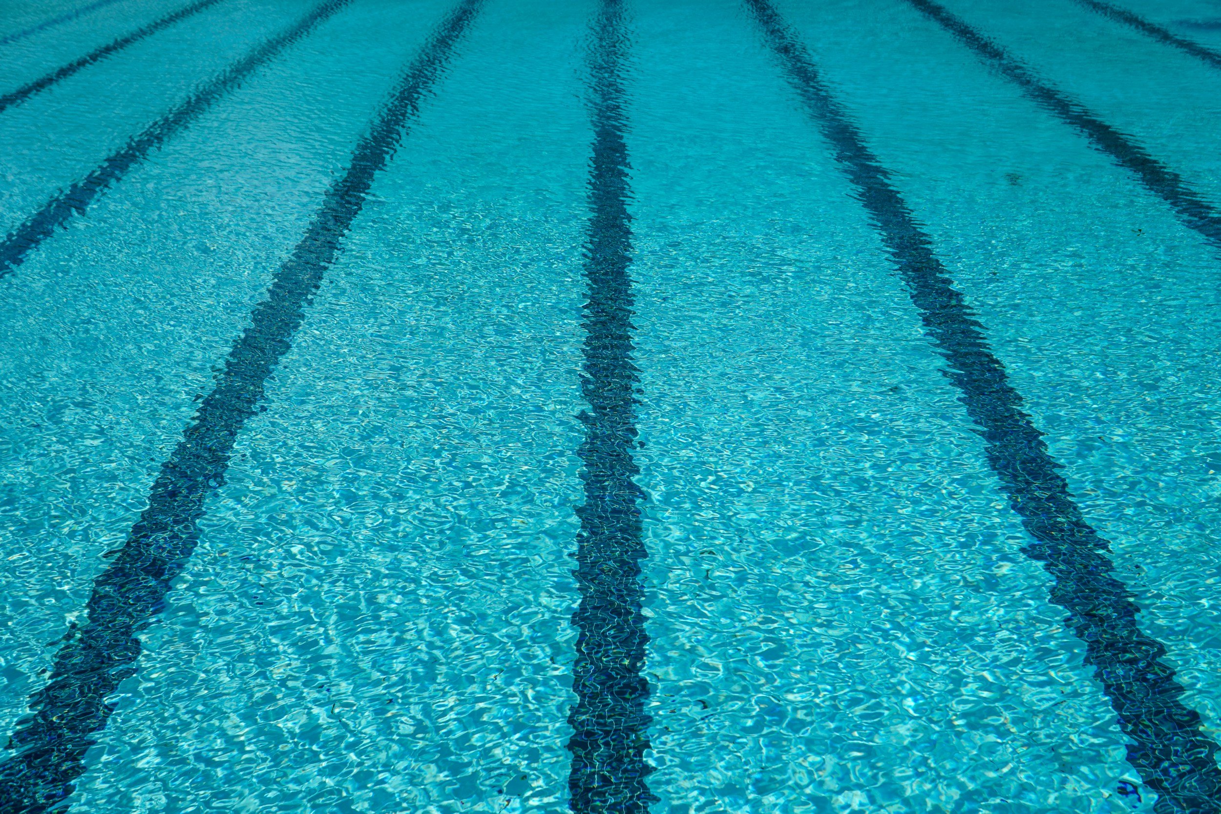 View of a swimming pool with blue water and black lane markings.