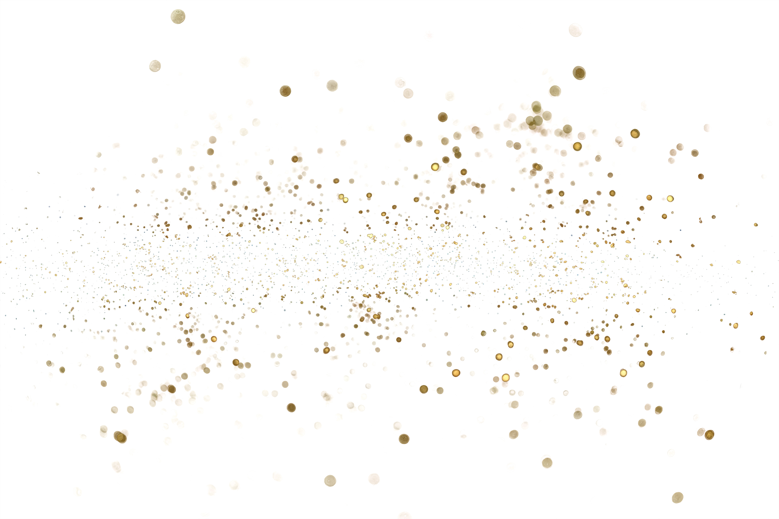 Gold Sparkles