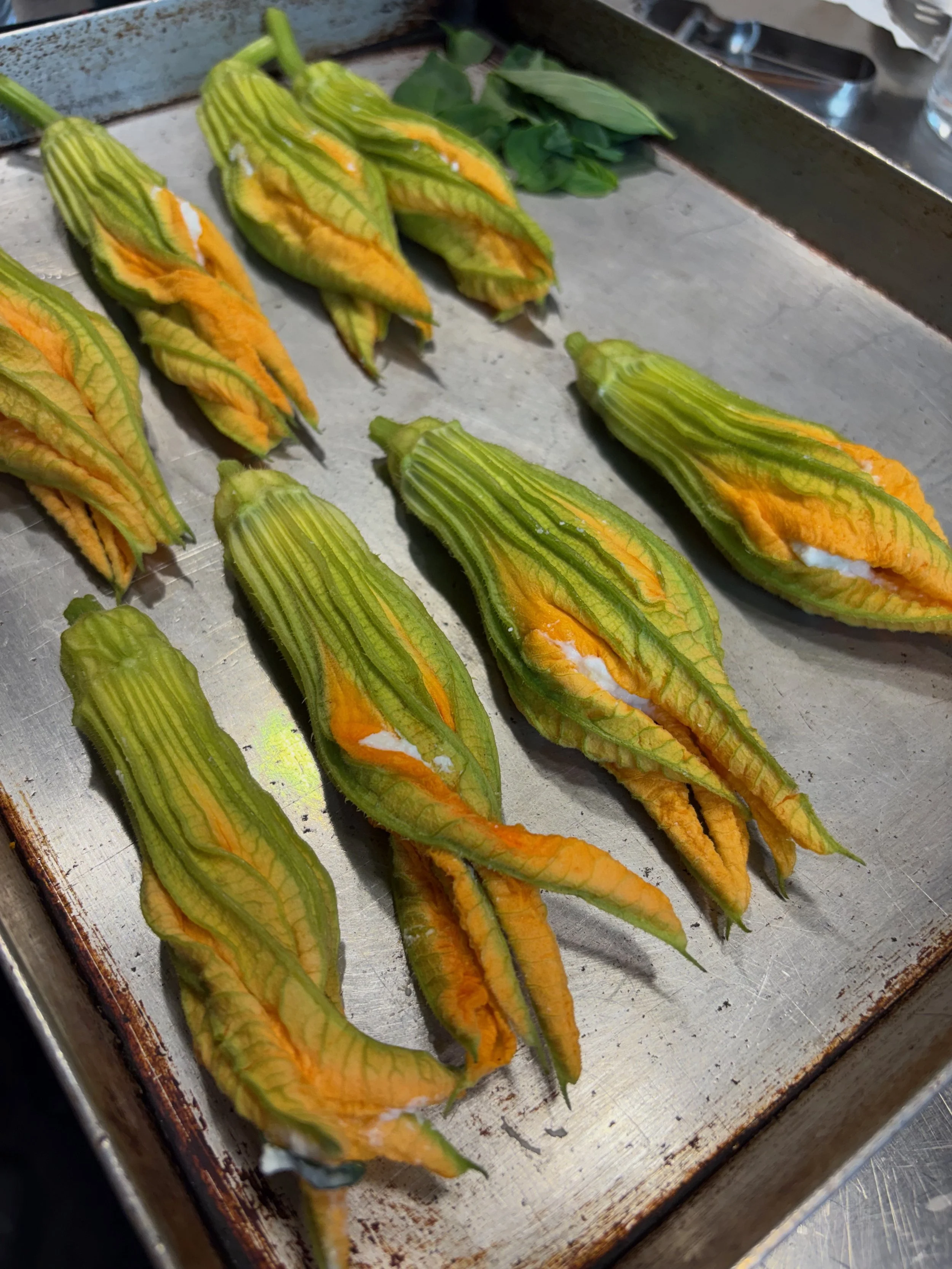 Zucchini blossoms with orange and yellow petals on a baking sheet.