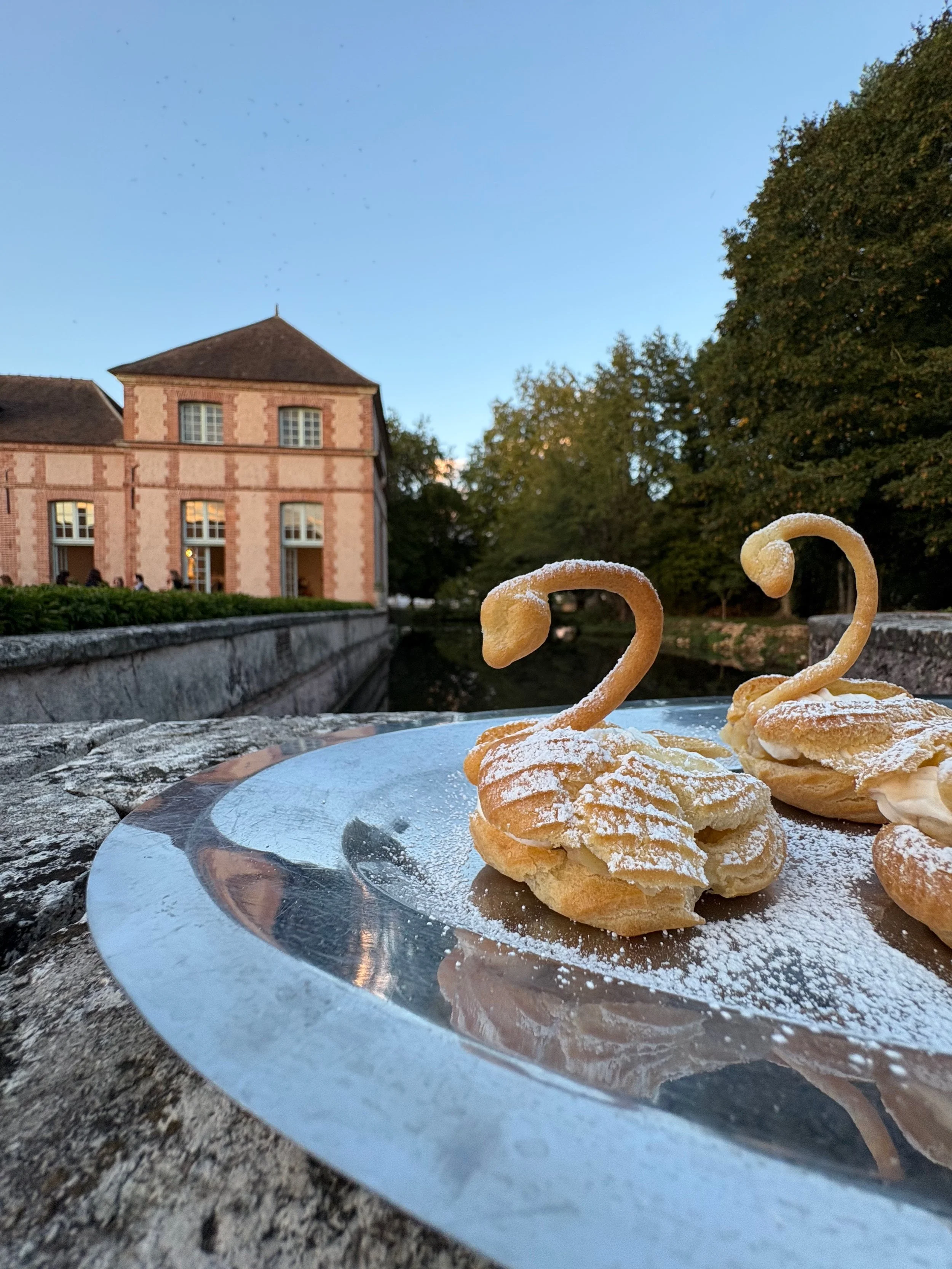 Two swan-shaped cream puffs with powdered sugar on a reflective silver tray outdoors, with a historic brick building and green trees in the background during dusk.