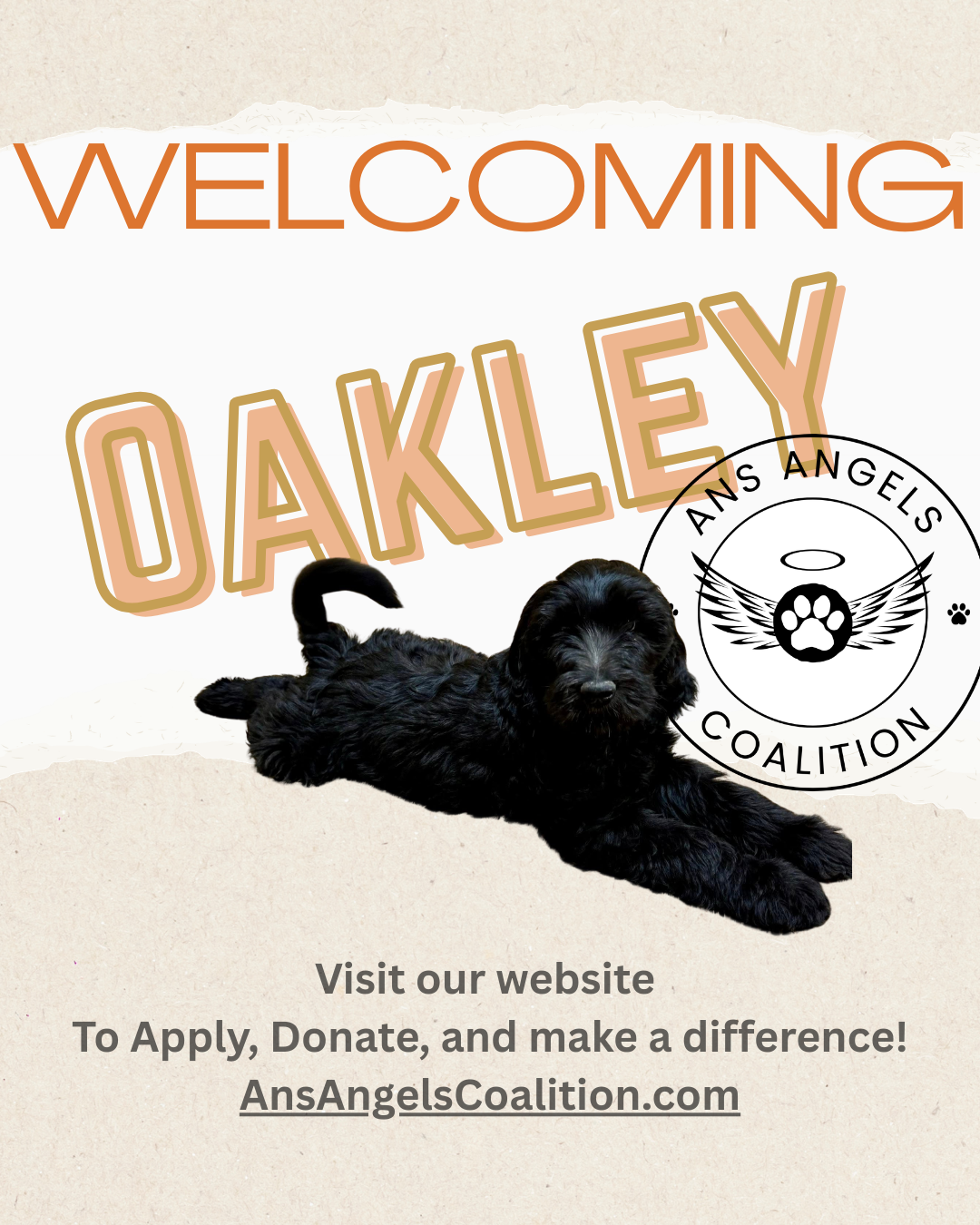 Your Photo added for impact