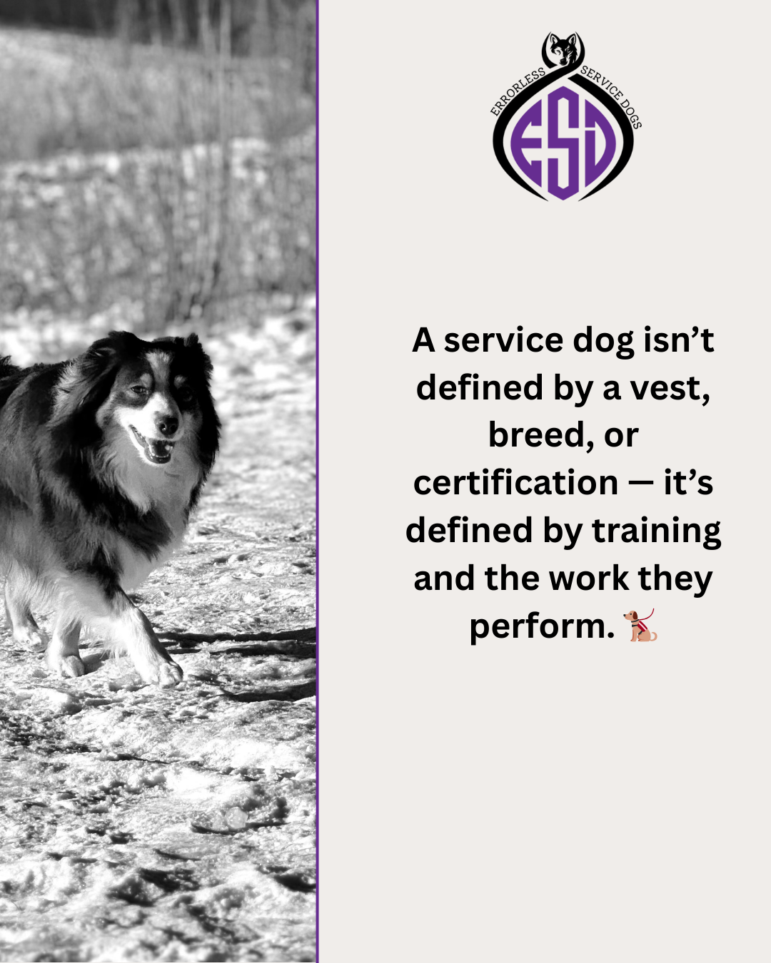 High Contrast Editorial