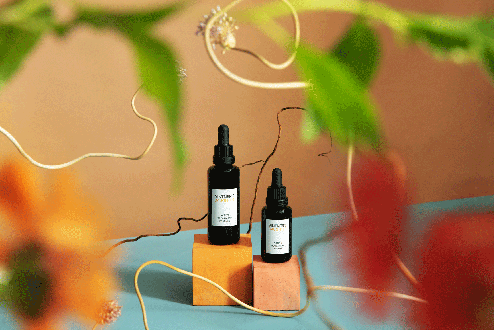 Vintner's Daughter – The Signature Set