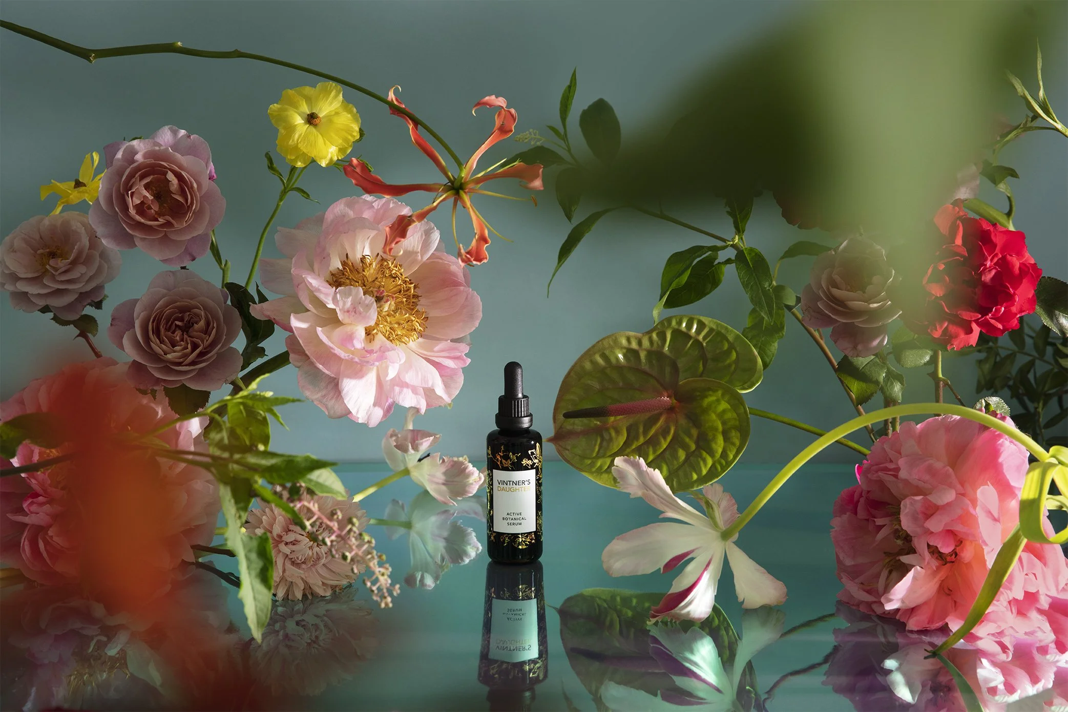 Vintner's Daughter – The Limited Edition