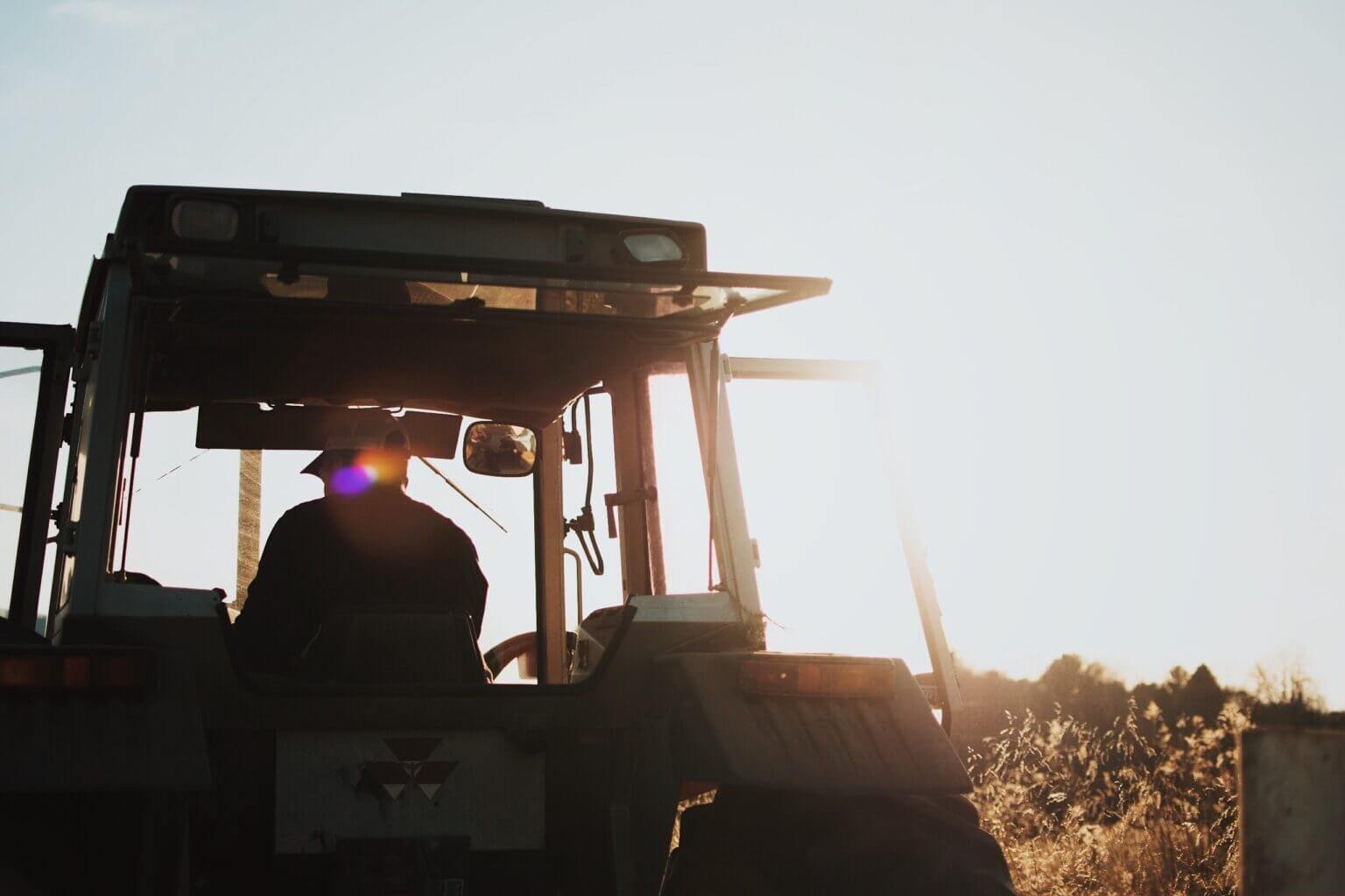Sowing Sustainability: Behavioral Insights Shaping Farmers’ Decisions to Plant Cover Crops