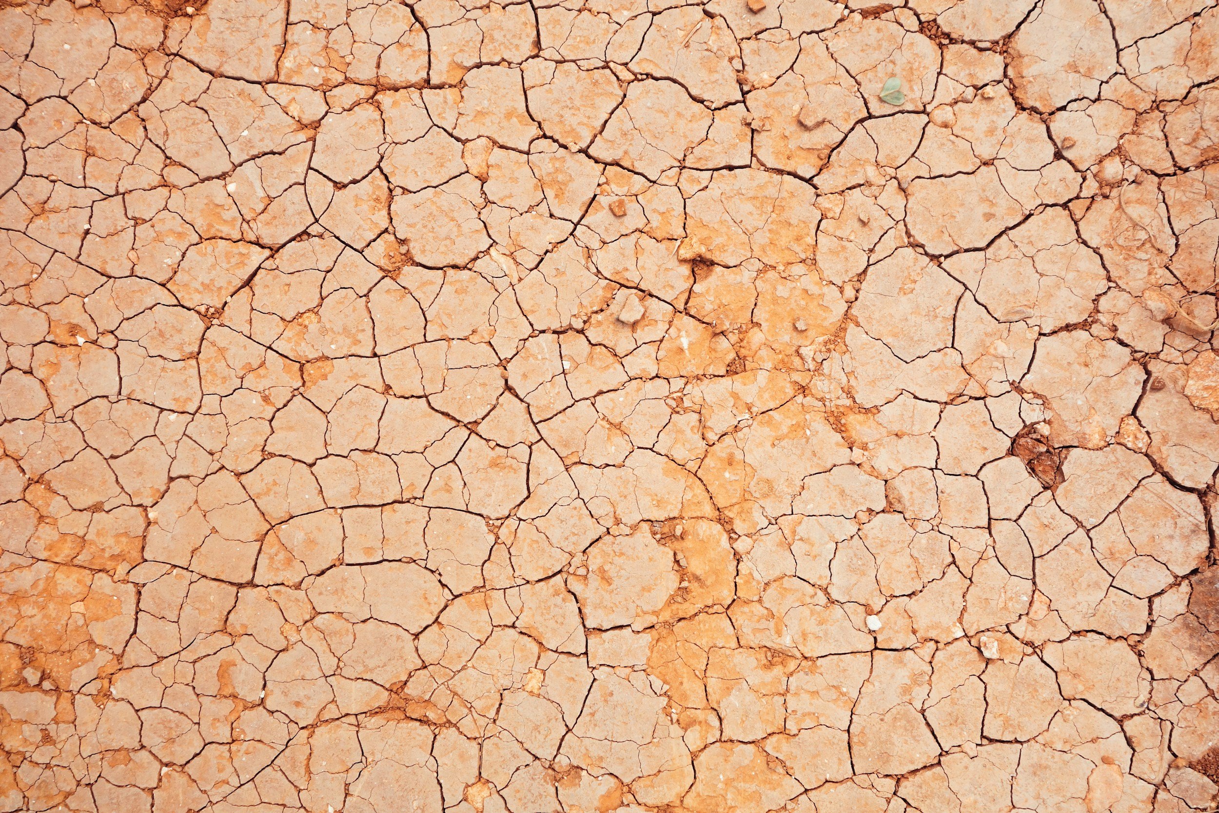 Dry Skin vs Dehydrated Skin: What’s the Difference?