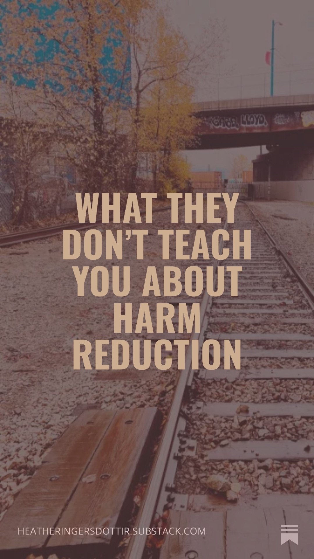 Resisting Saviourism in Harm Reduction Education (Institutional rate)