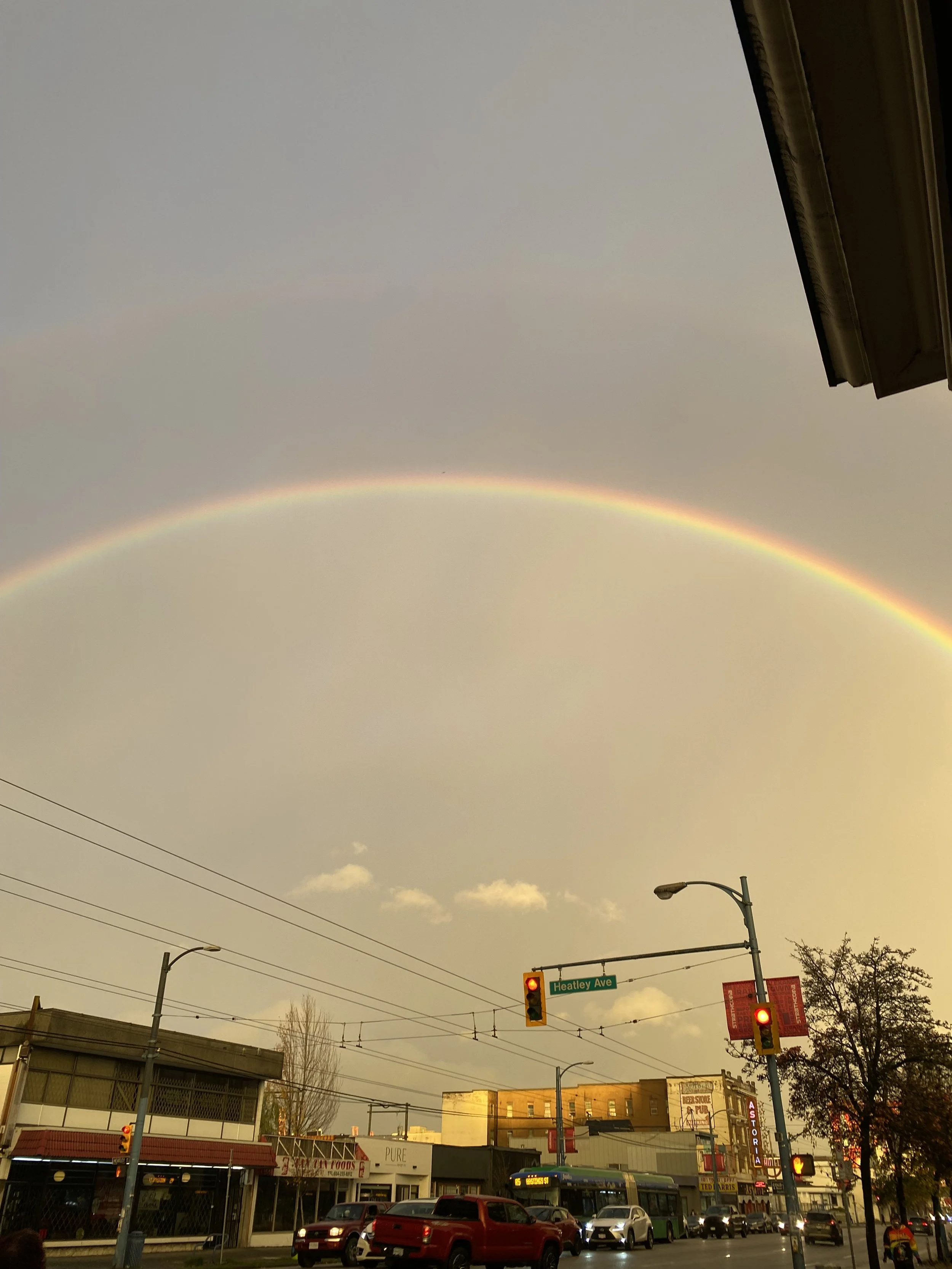 Trauma Informed Practice Beyond Carceral Logic: Reclaiming Justice, Care & Humanity (Community Grassroots Rate)