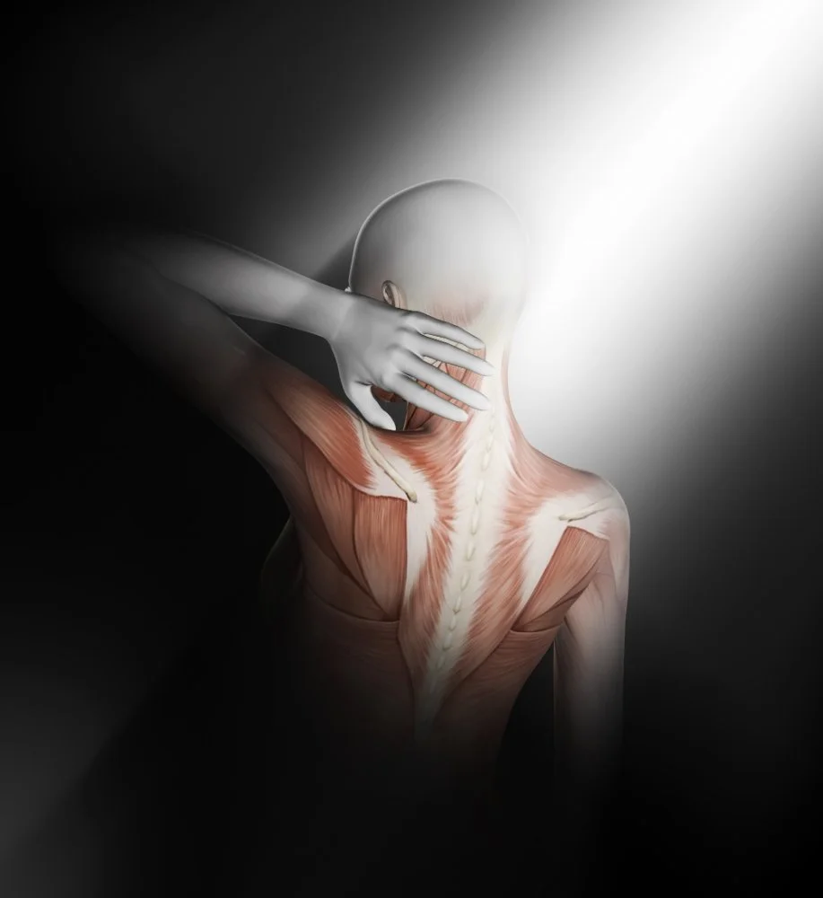 Hidden Sources Revealed: Impactful Fascia and the Science of Elastography