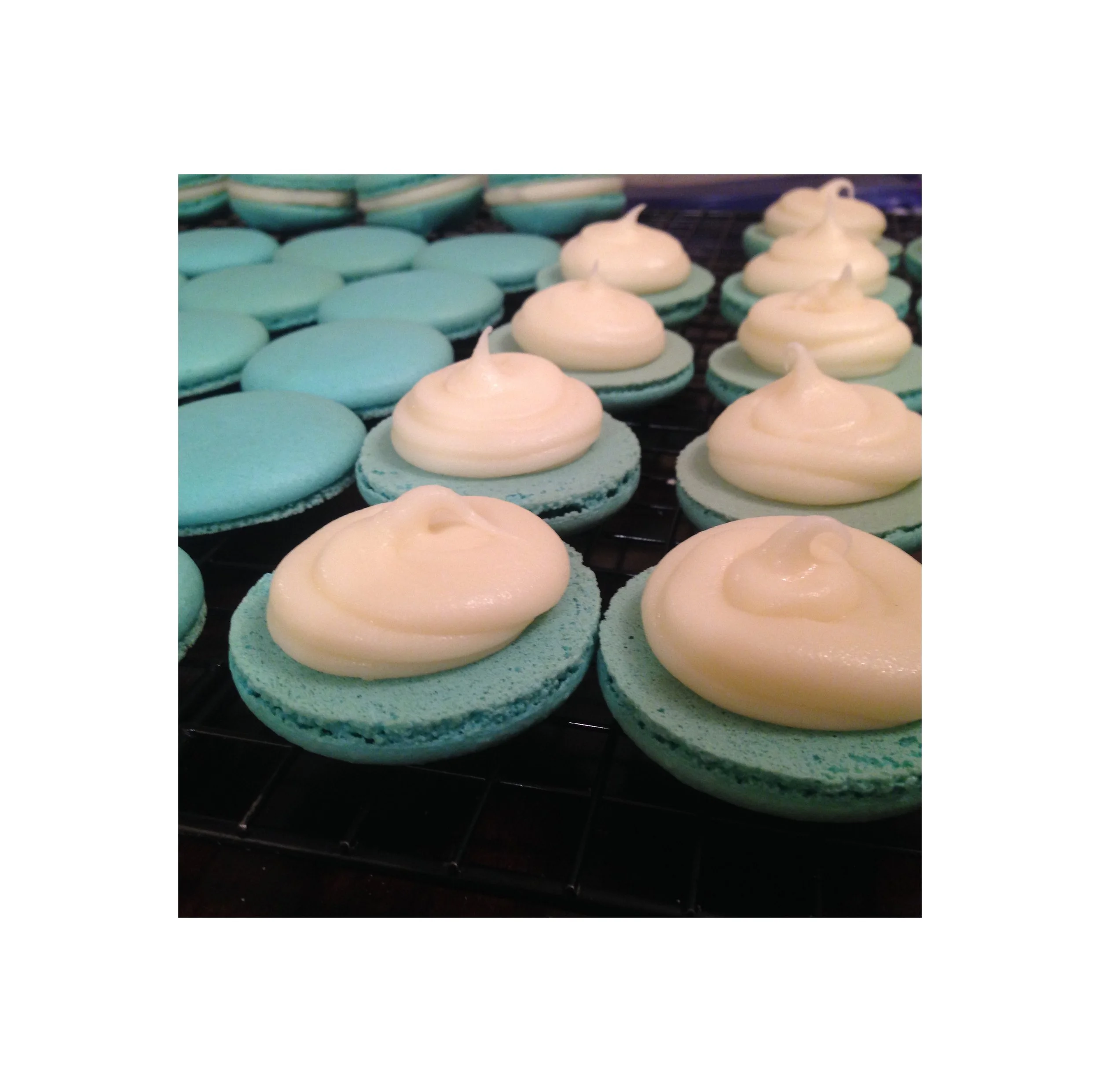 expanded canvas macarons pic.jpg