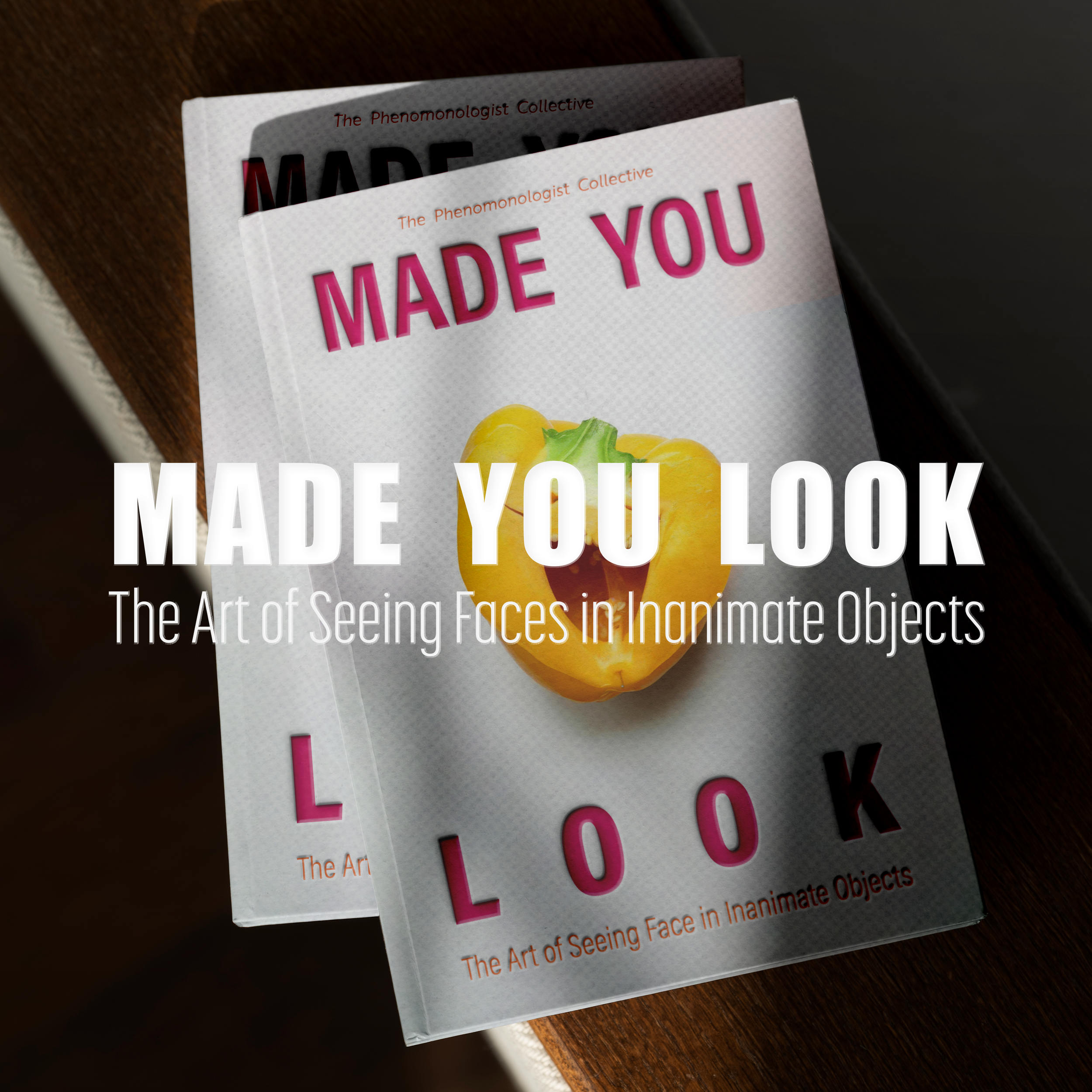Made You Look | Artist Book