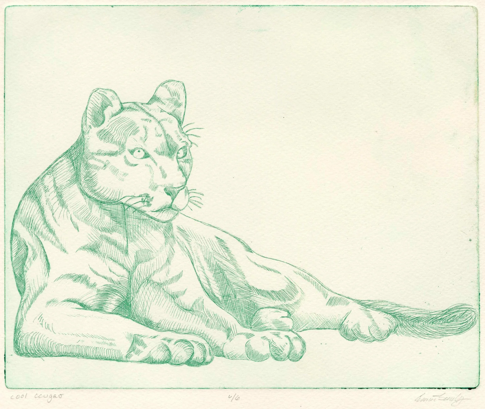 Cool Cougar, Intaglio, 1 color