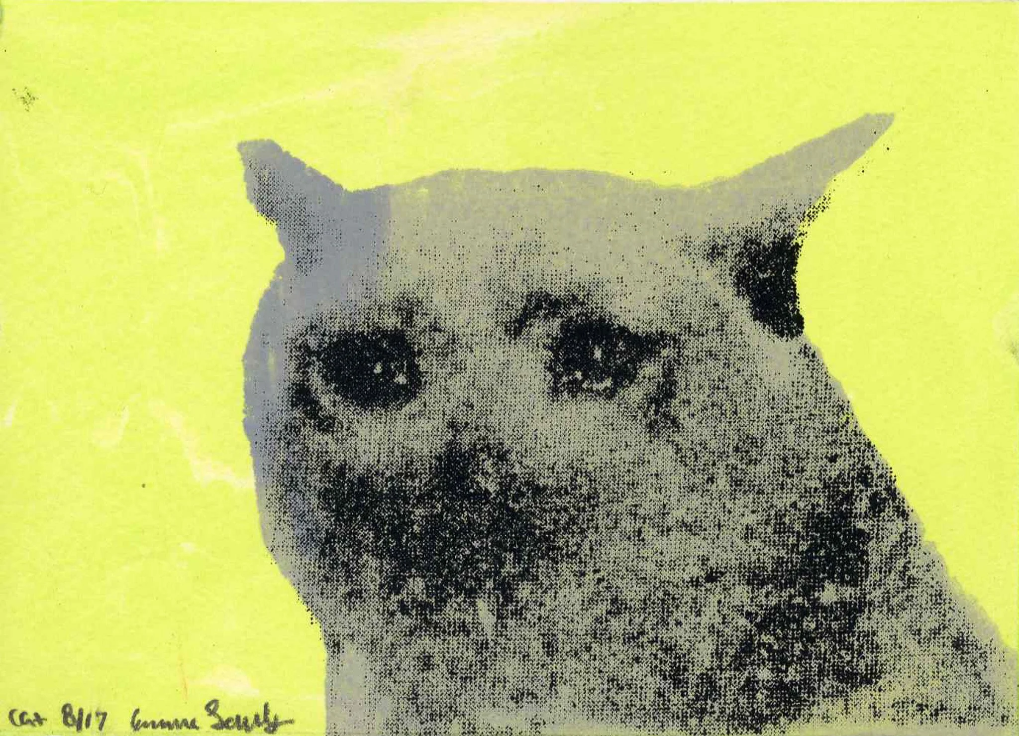 Cat, Serigraphy, 3 color