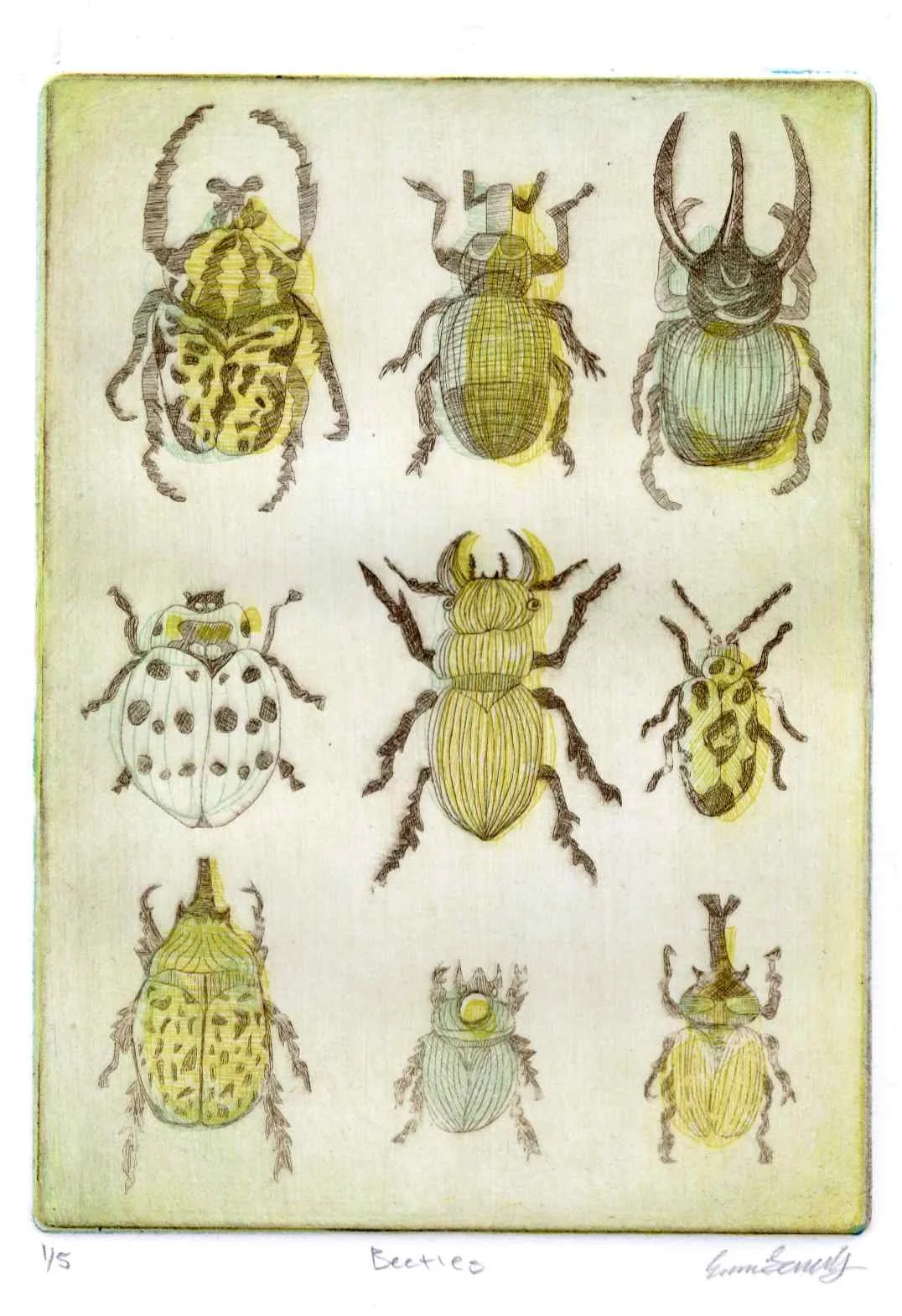 Beetles, Intaglio, 3 color